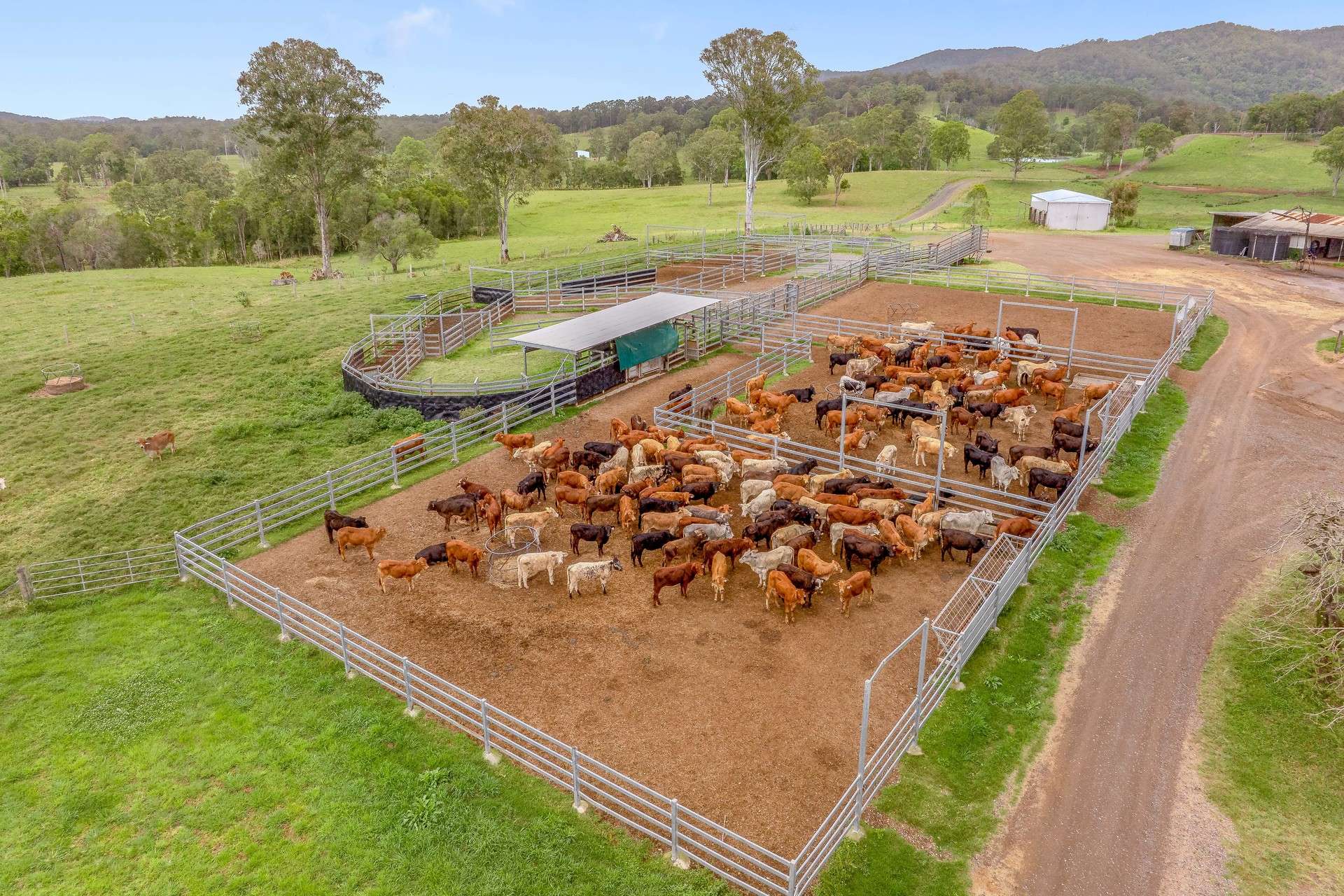 700 Neusavale Road, Neusa Vale For Sale by Farmbuy.com - image 12