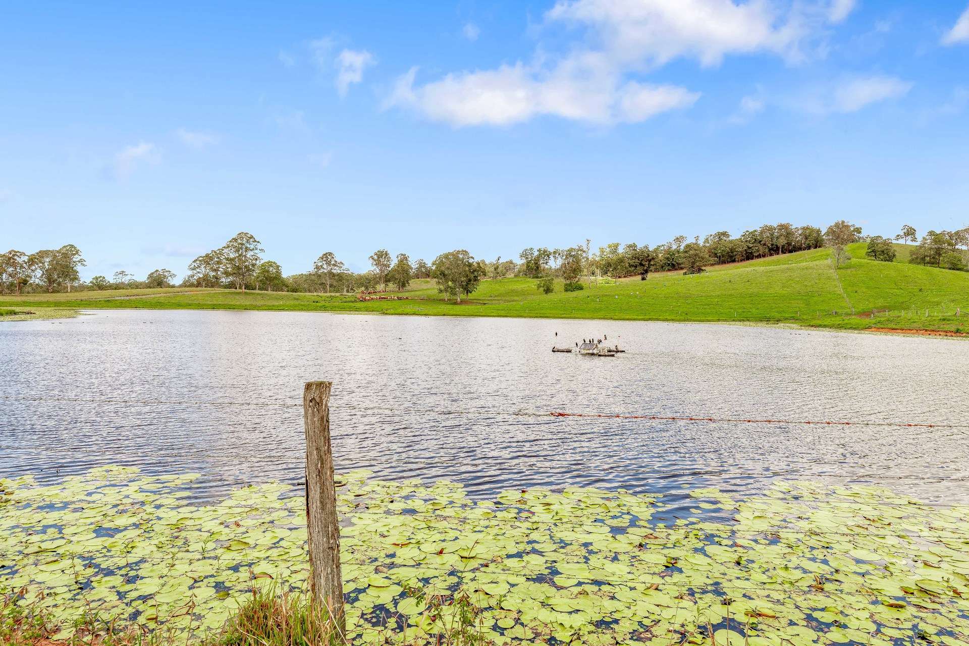 700 Neusavale Road, Neusa Vale For Sale by Farmbuy.com - image 35