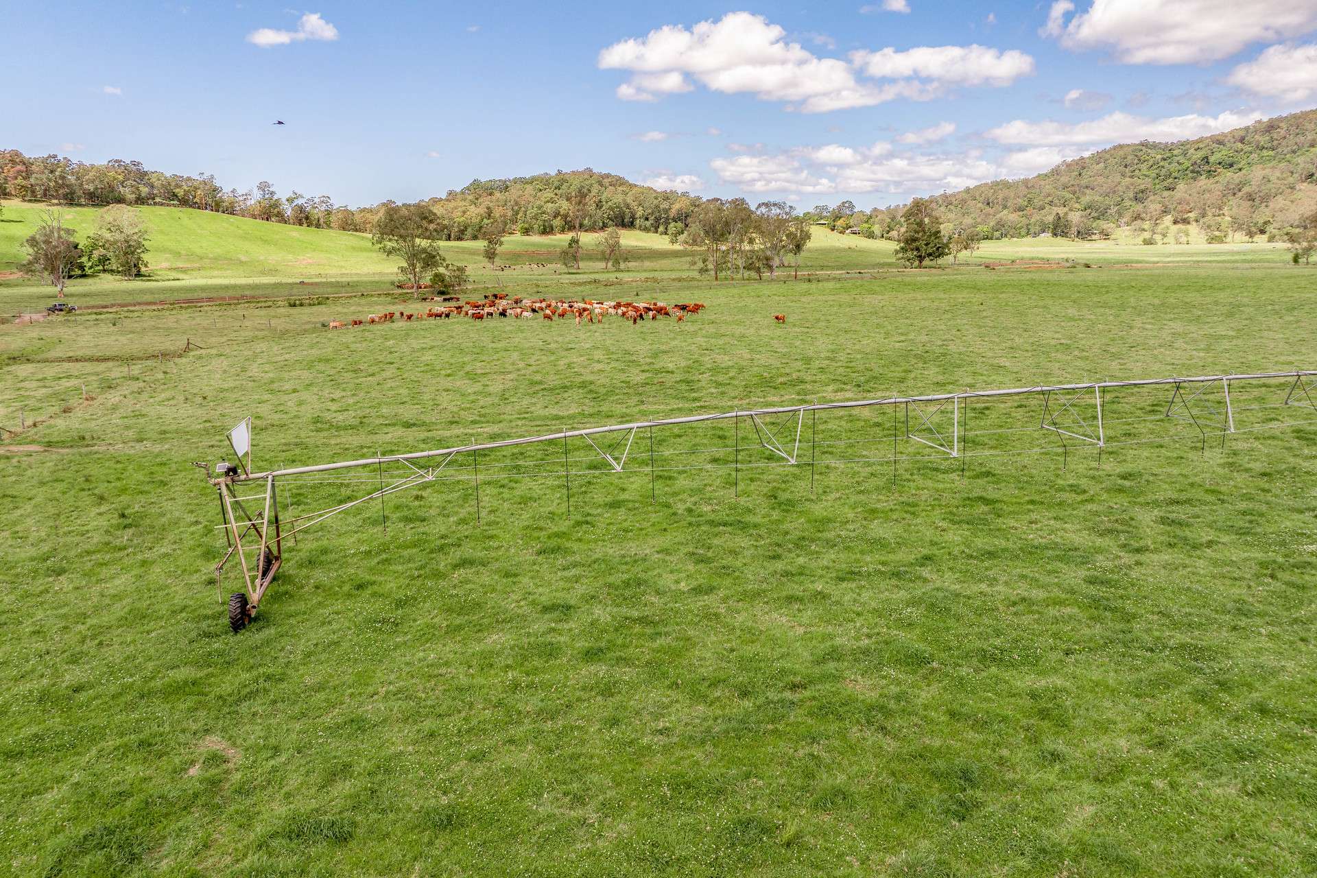 700 Neusavale Road, Neusa Vale For Sale by Farmbuy.com - image 5