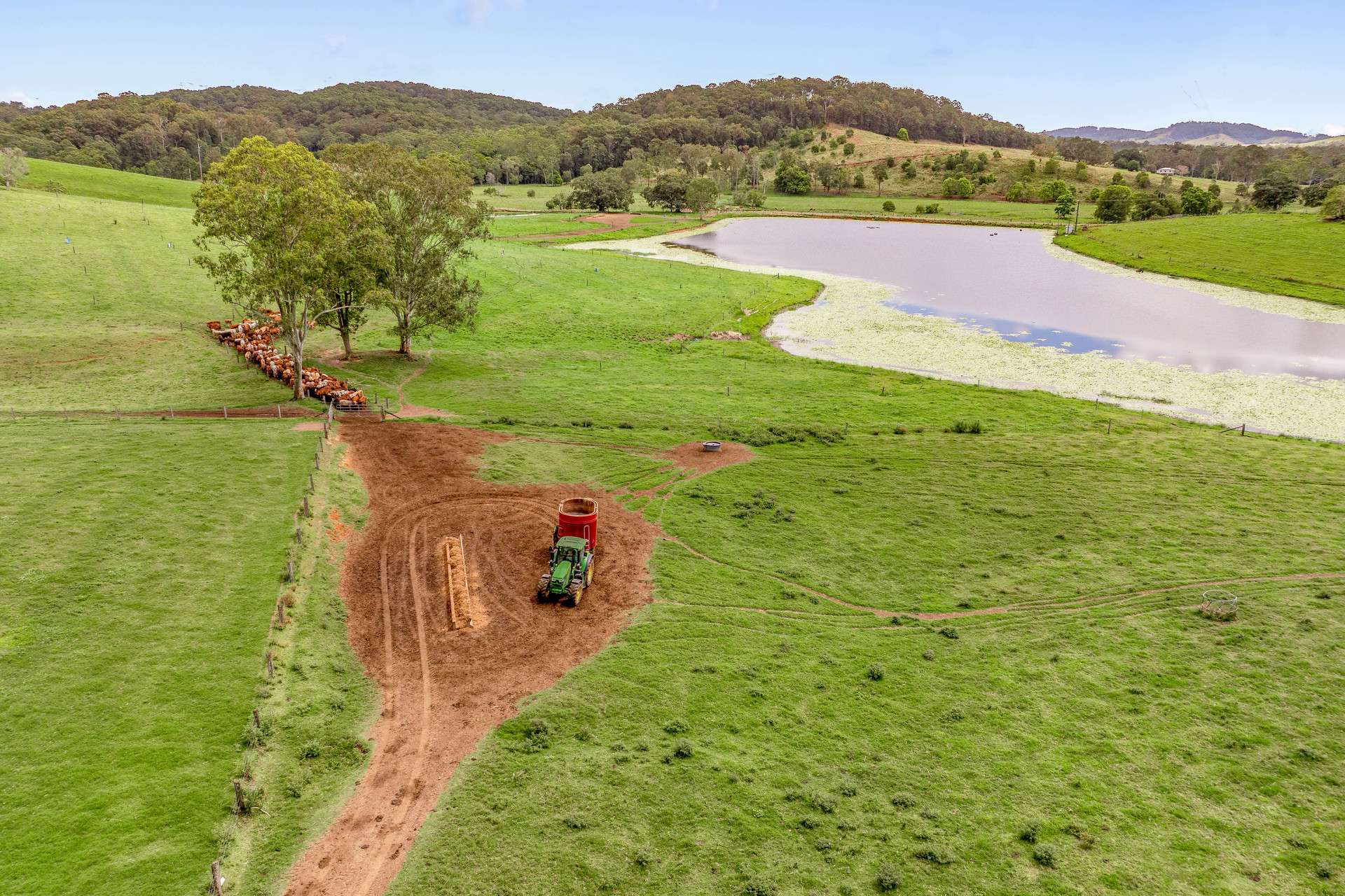 700 Neusavale Road, Neusa Vale For Sale by Farmbuy.com - image 9