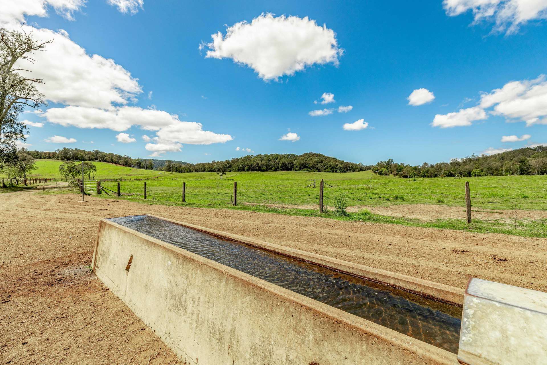 700 Neusavale Road, Neusa Vale For Sale by Farmbuy.com - image 7