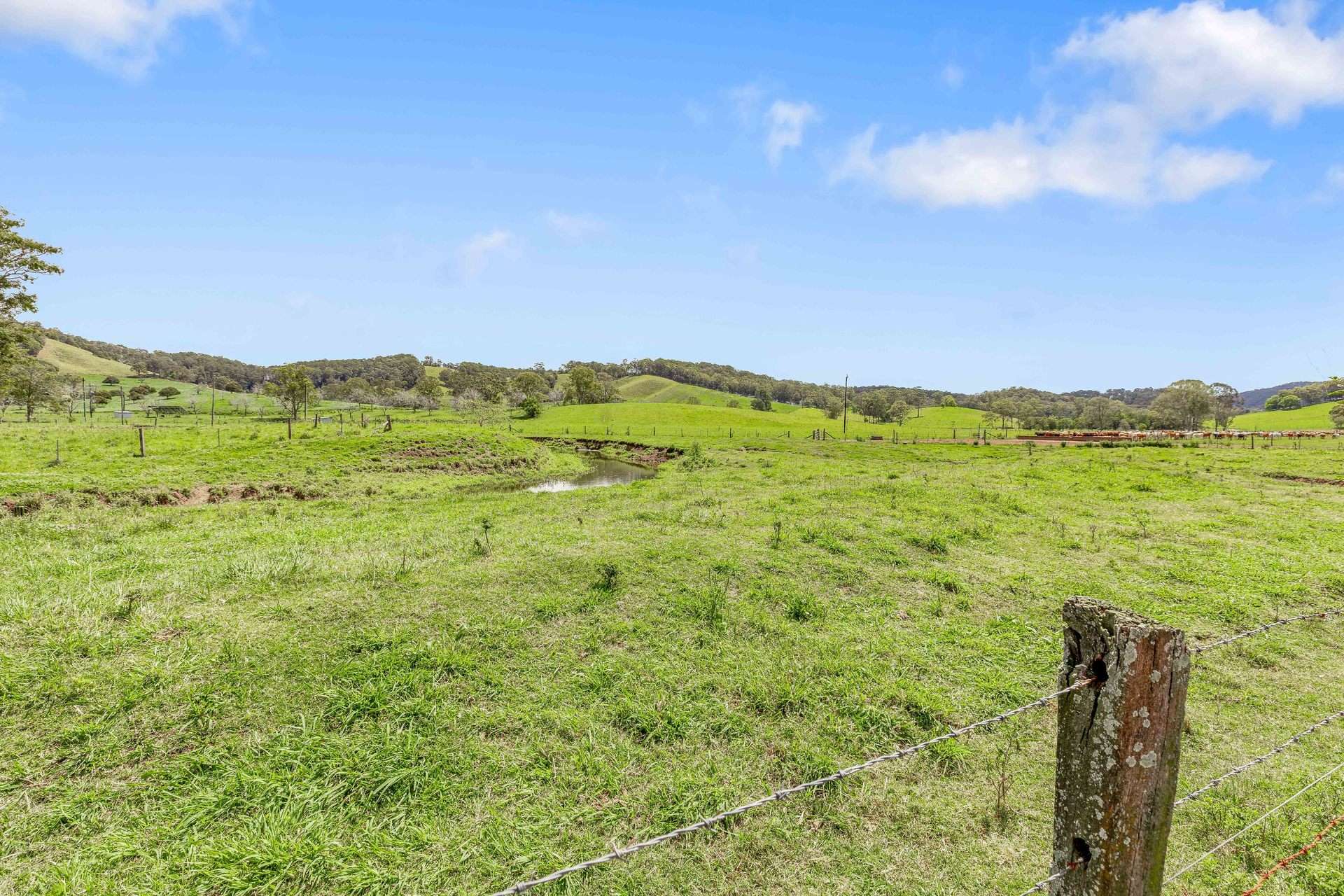 700 Neusavale Road, Neusa Vale For Sale by Farmbuy.com - image 28