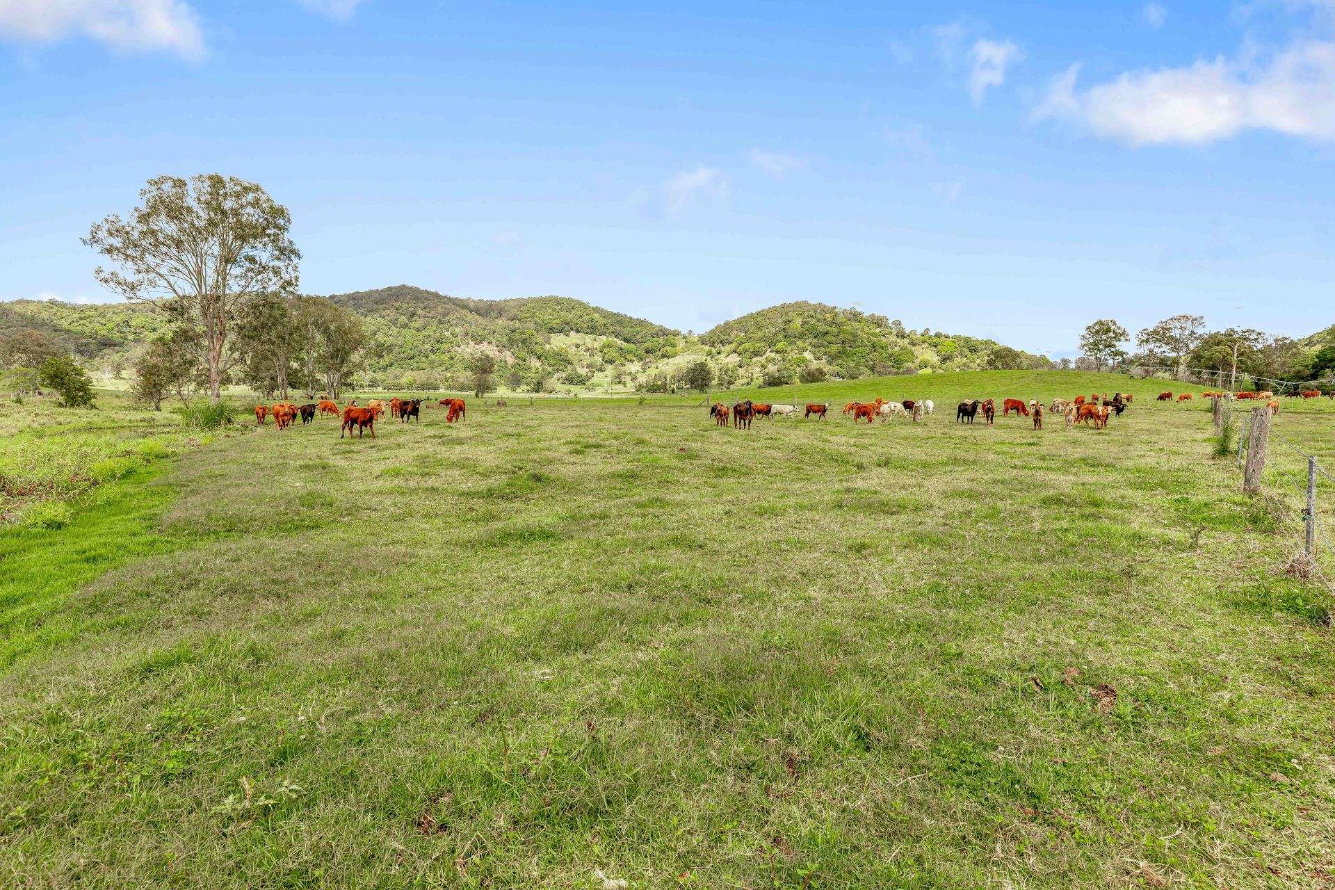 700 Neusavale Road, Neusa Vale For Sale by Farmbuy.com - image 29