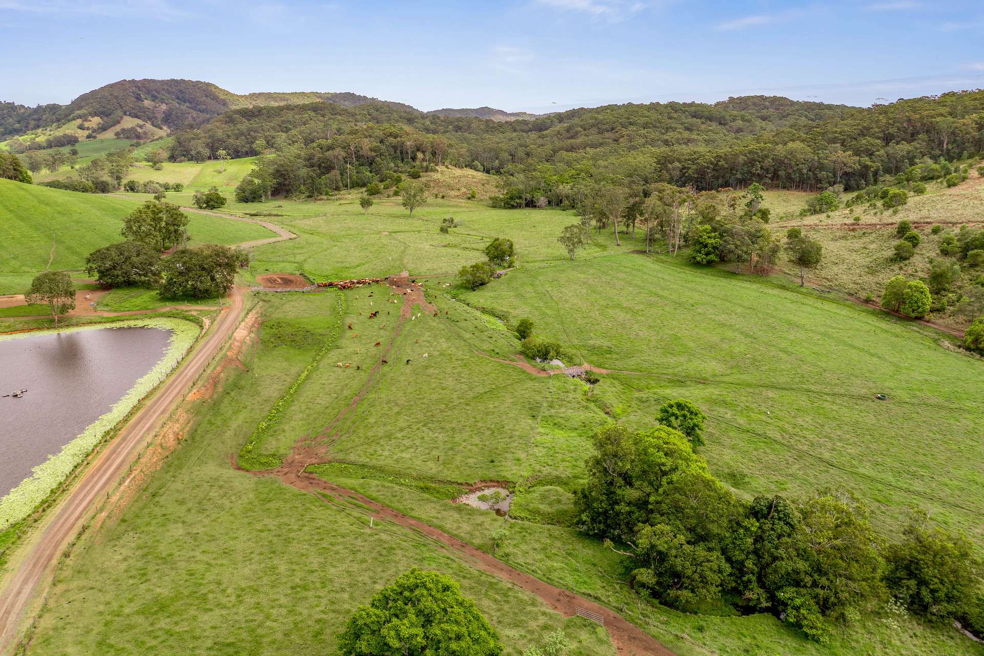 700 Neusavale Road, Neusa Vale For Sale by Farmbuy.com - image 31