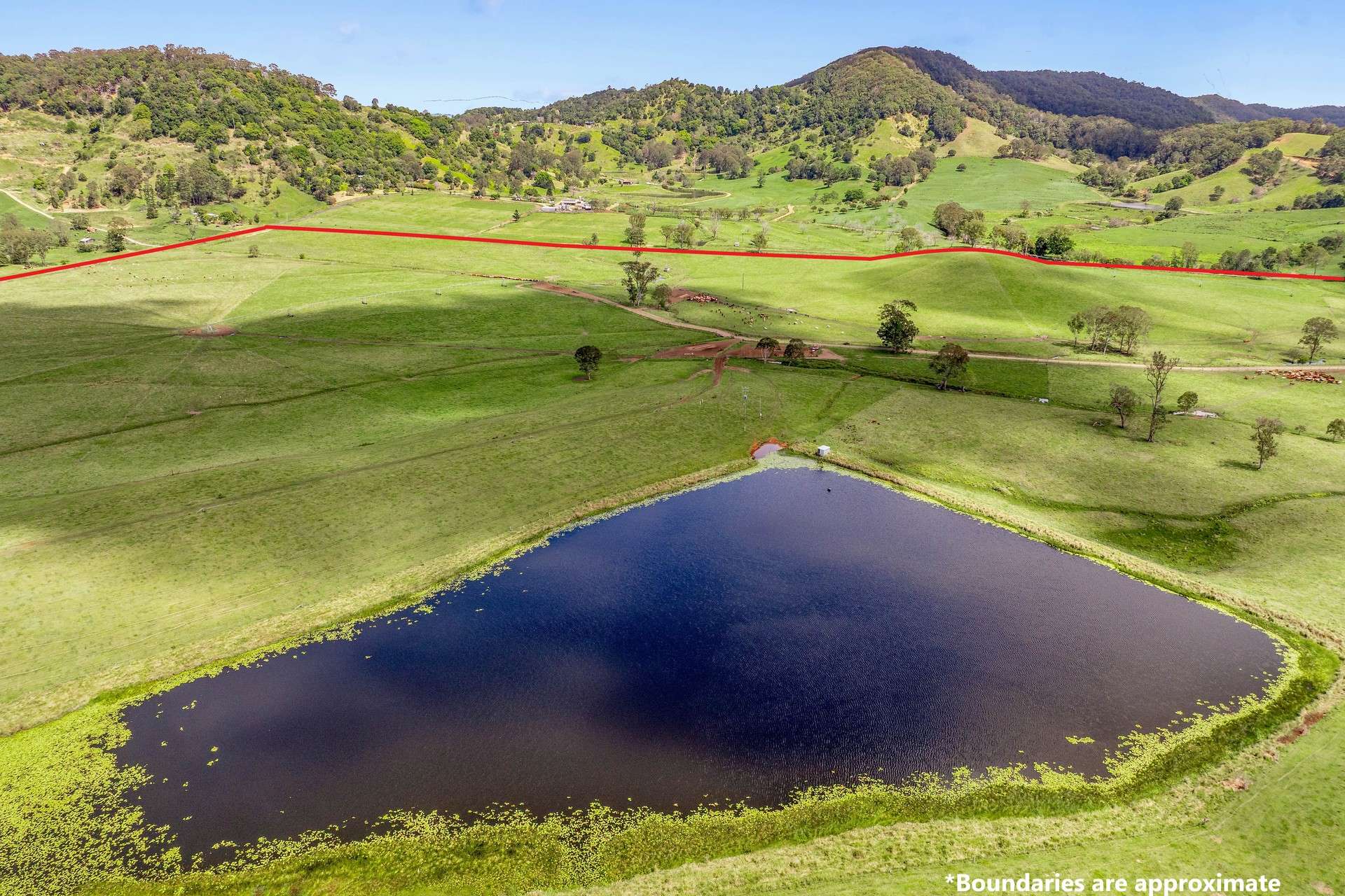 700 Neusavale Road, Neusa Vale For Sale by Farmbuy.com - image 34