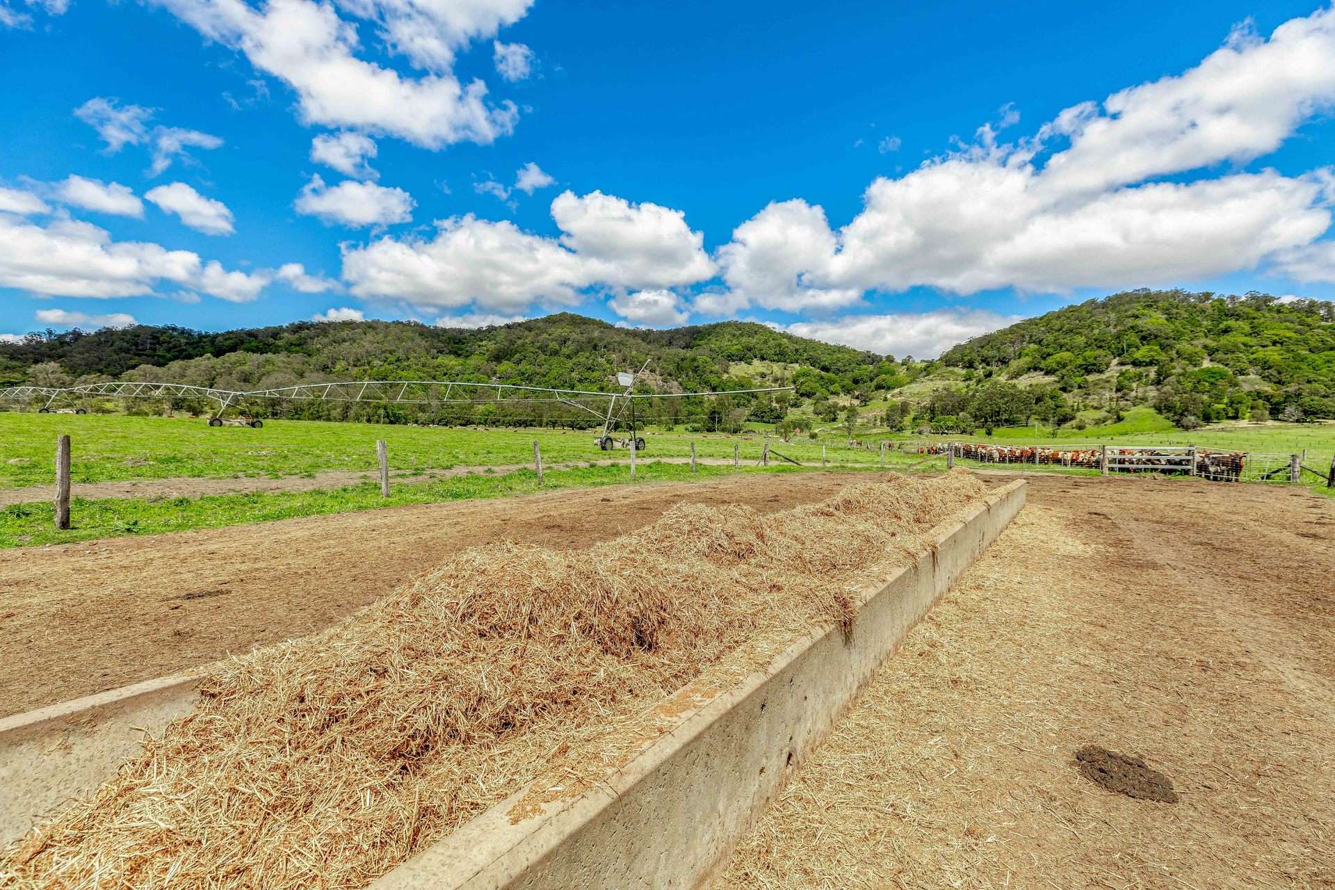 700 Neusavale Road, Neusa Vale For Sale by Farmbuy.com - image 8