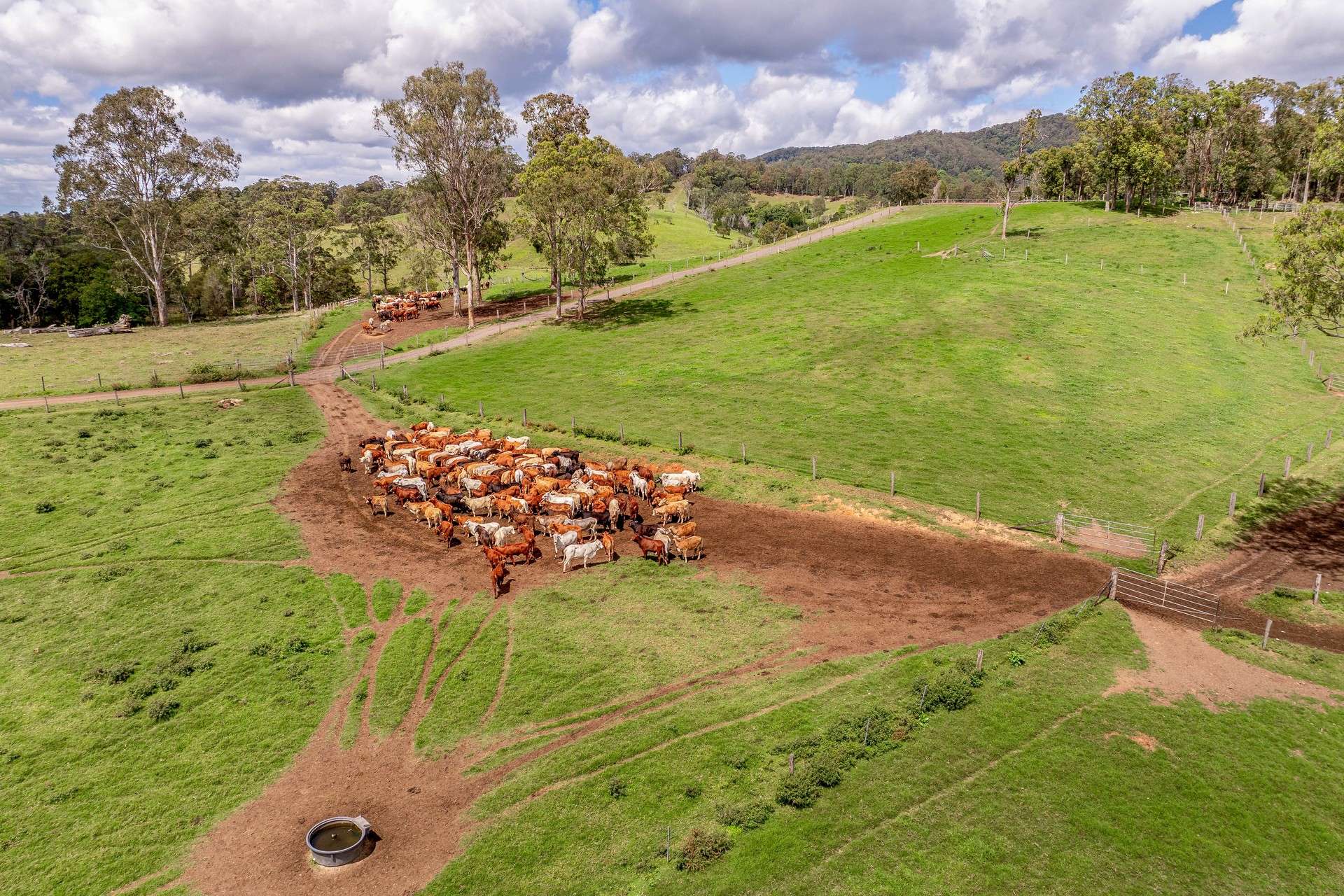 700 Neusavale Road, Neusa Vale For Sale by Farmbuy.com - image 10