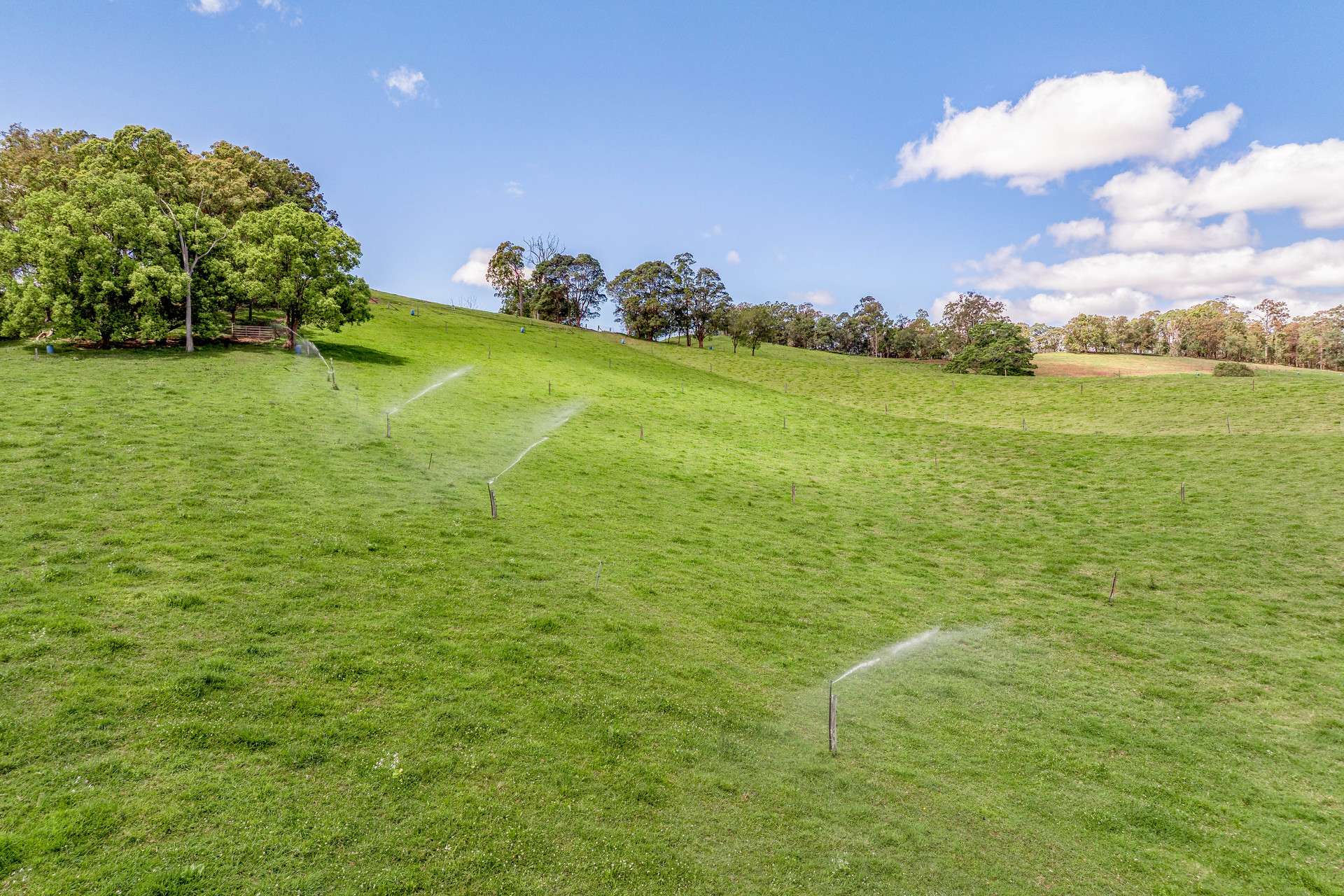 700 Neusavale Road, Neusa Vale For Sale by Farmbuy.com - image 27