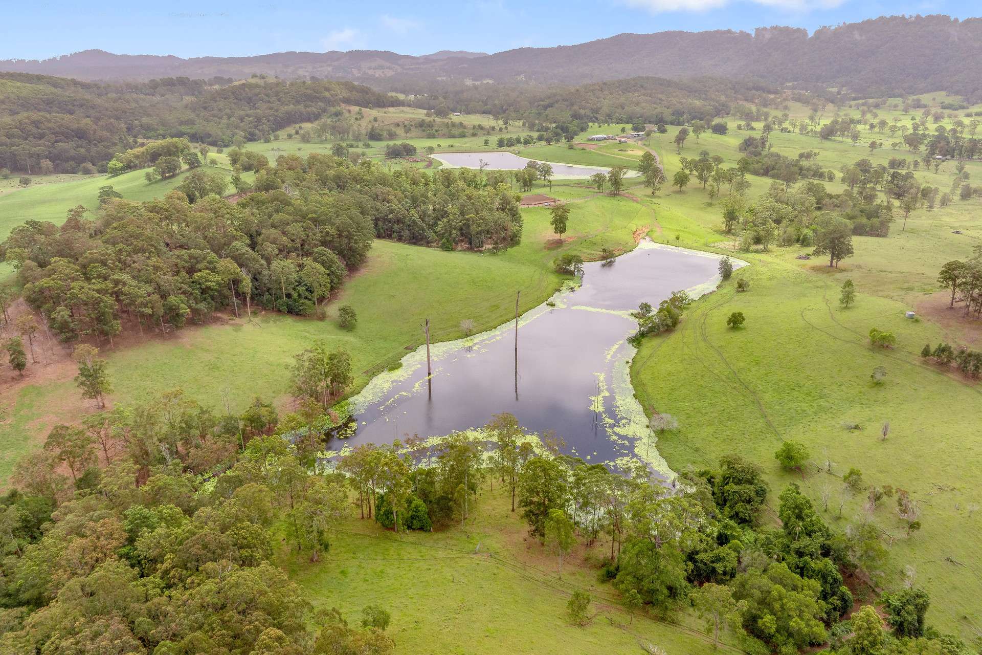 700 Neusavale Road, Neusa Vale For Sale by Farmbuy.com - image 3