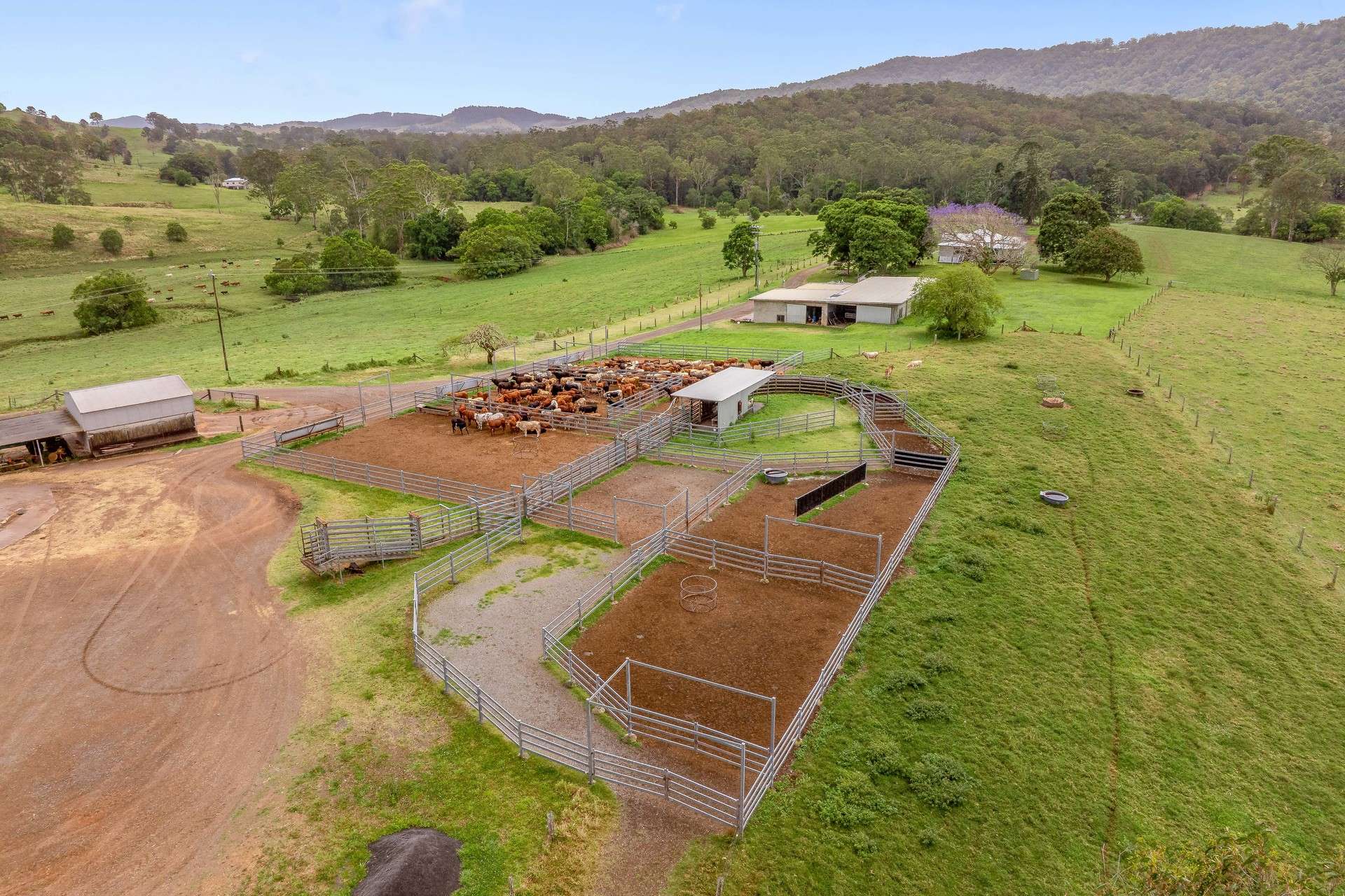 700 Neusavale Road, Neusa Vale For Sale by Farmbuy.com - image 13