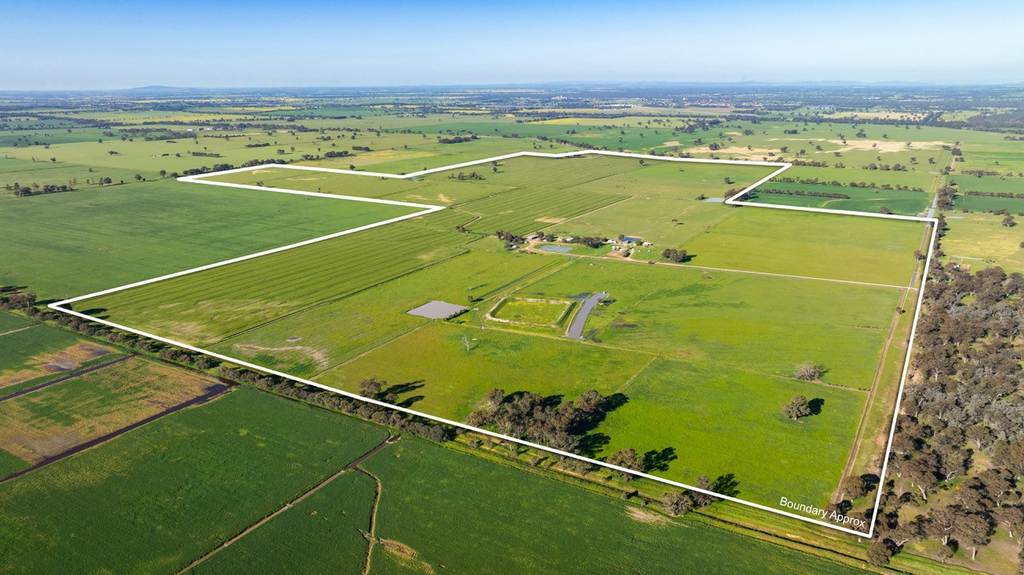 65 Lee Valley Road, Collendina NSW 2646