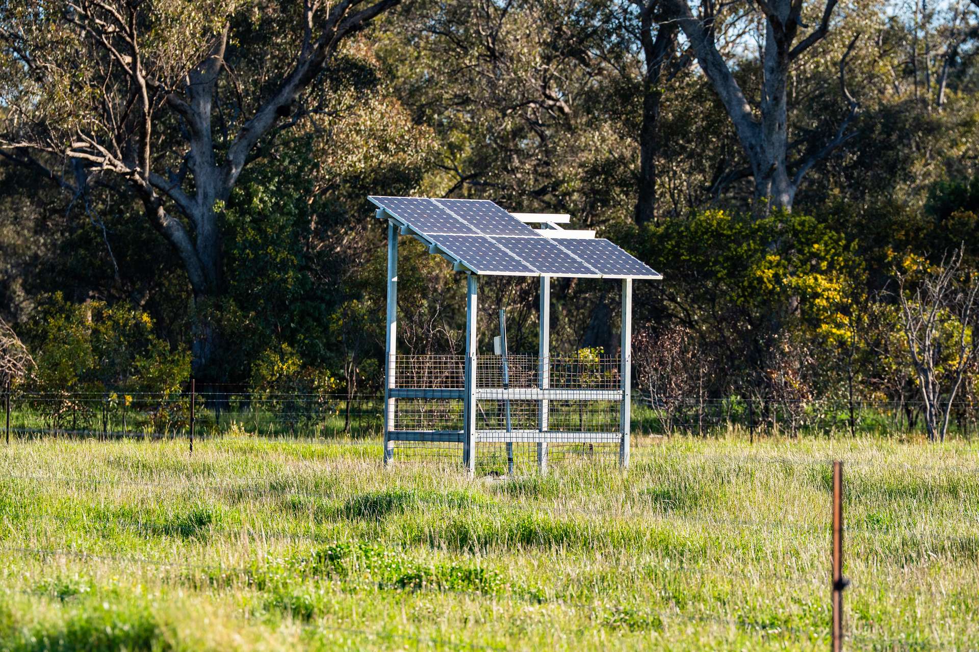 65 Lee Valley Road, Collendina For Sale by Farmbuy.com - image 11