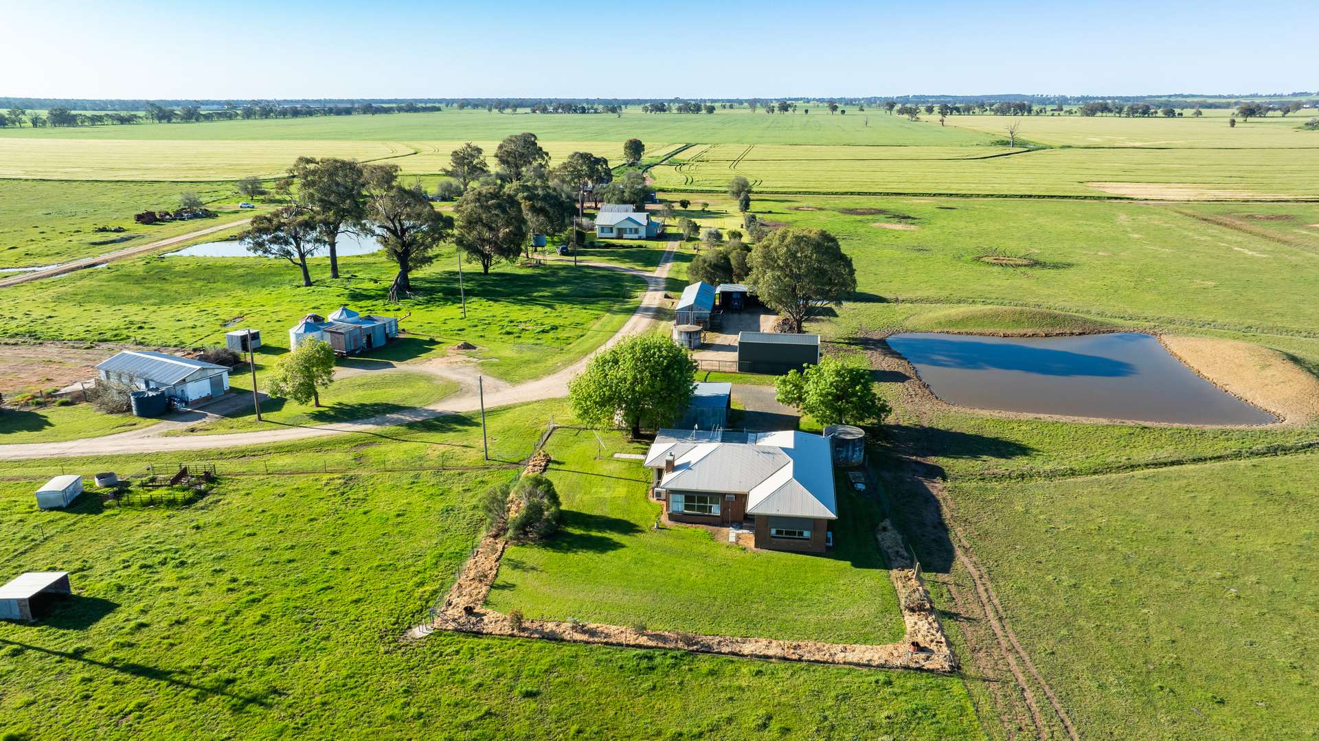 65 Lee Valley Road, Collendina For Sale by Farmbuy.com - image 3
