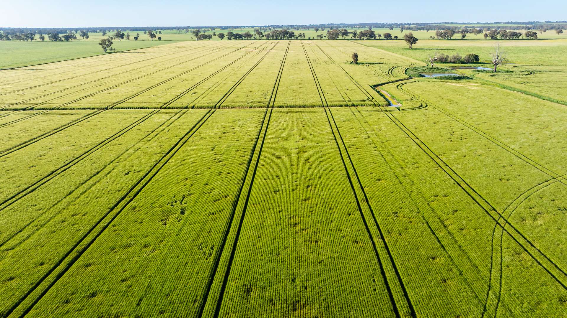 65 Lee Valley Road, Collendina For Sale by Farmbuy.com - image 6