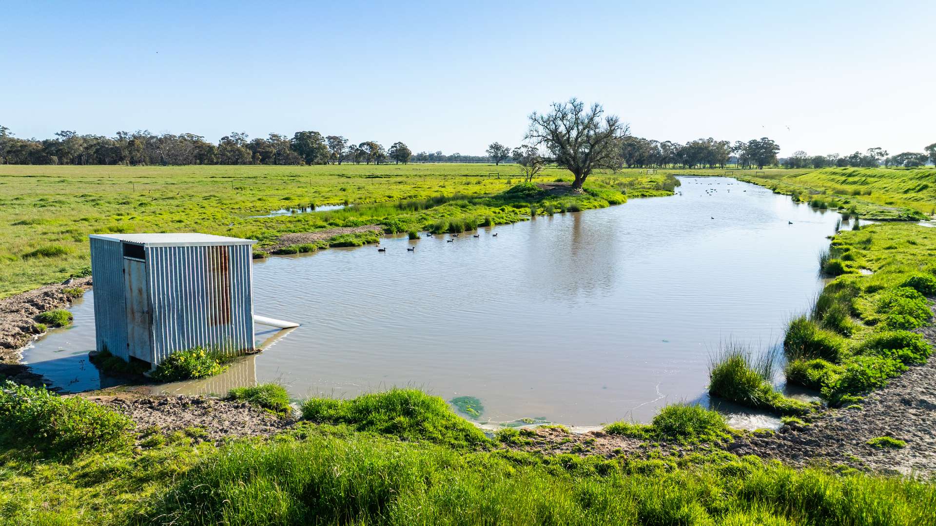 65 Lee Valley Road, Collendina For Sale by Farmbuy.com - image 17