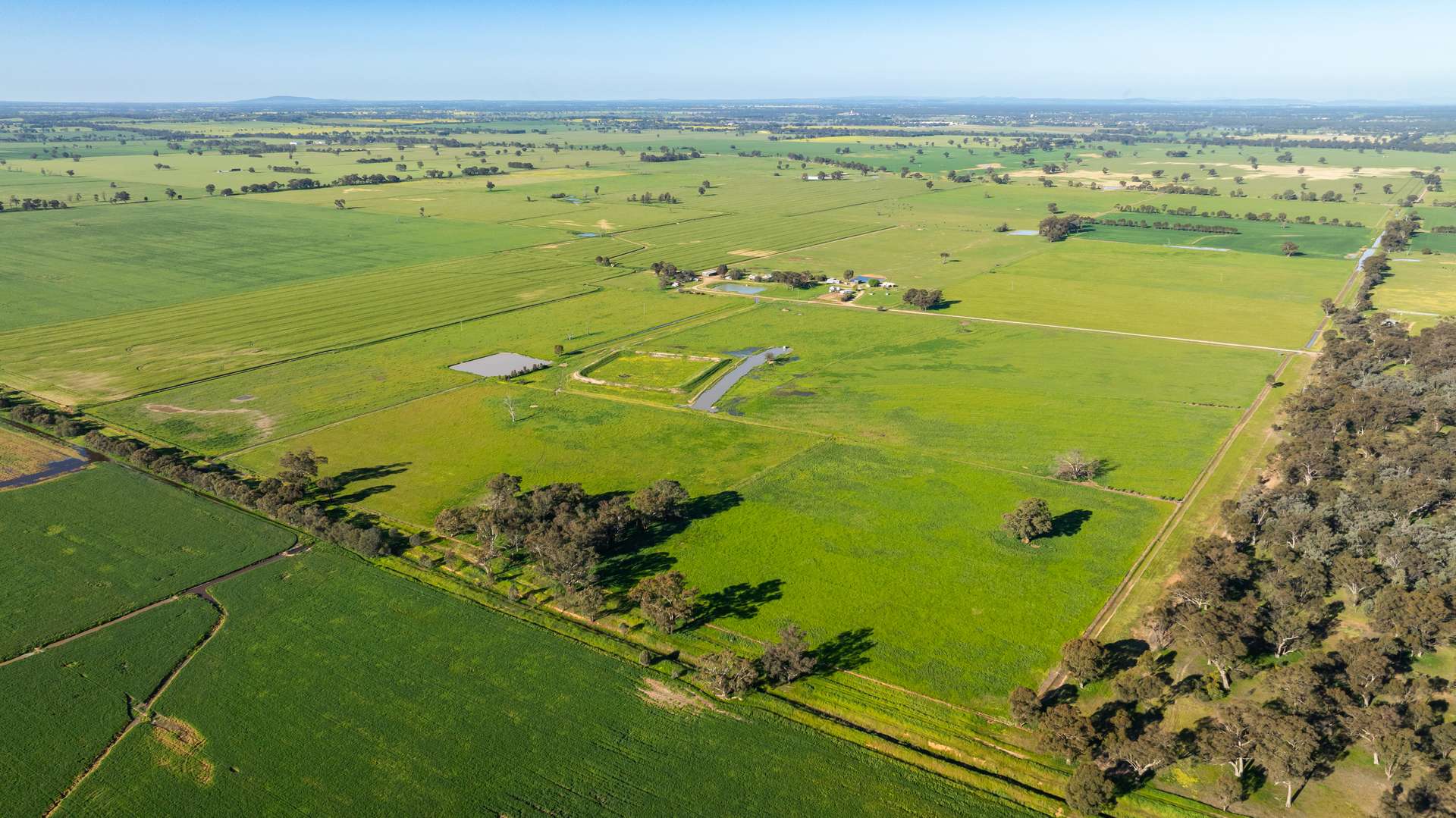65 Lee Valley Road, Collendina For Sale by Farmbuy.com - image 16
