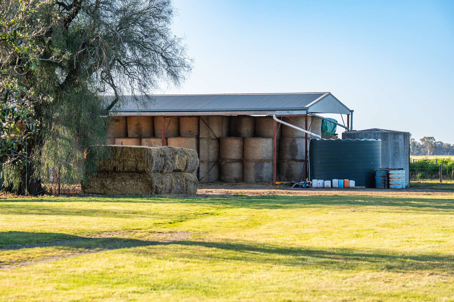 65 Lee Valley Road, Collendina For Sale by Farmbuy.com - image 7