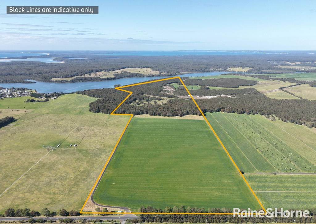 1170 Greenwell Point Road, Pyree NSW 2540