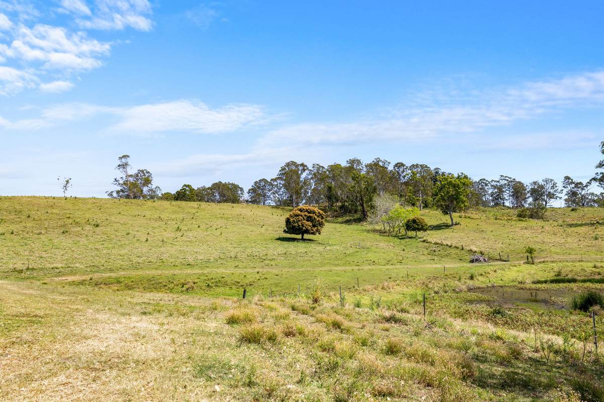 383 Bice Road, Leycester For Sale by Farmbuy.com - image 24