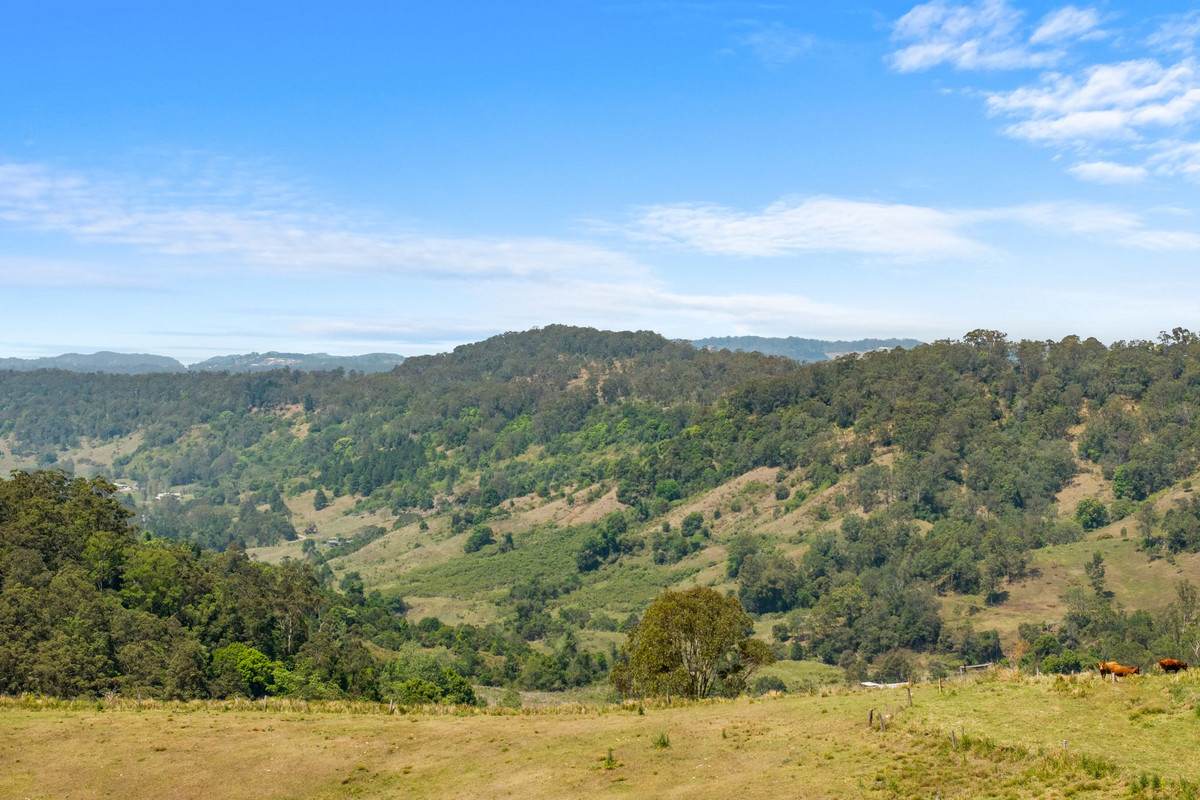 383 Bice Road, Leycester For Sale by Farmbuy.com - image 32