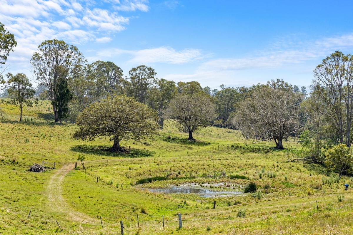 383 Bice Road, Leycester For Sale by Farmbuy.com - image 23