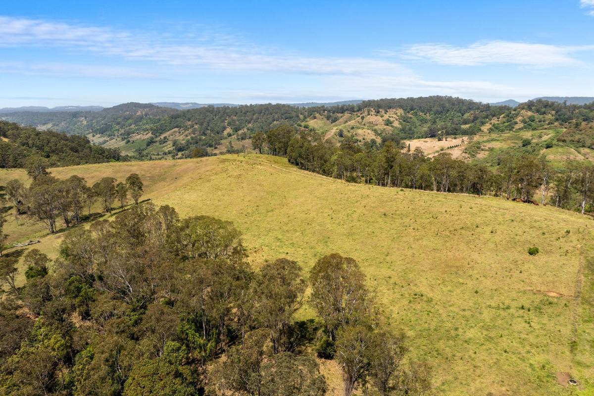 383 Bice Road, Leycester For Sale by Farmbuy.com - image 31