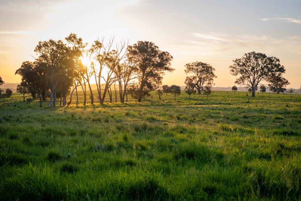 713 Lachlan Valley Way, Boorowa NSW 2586