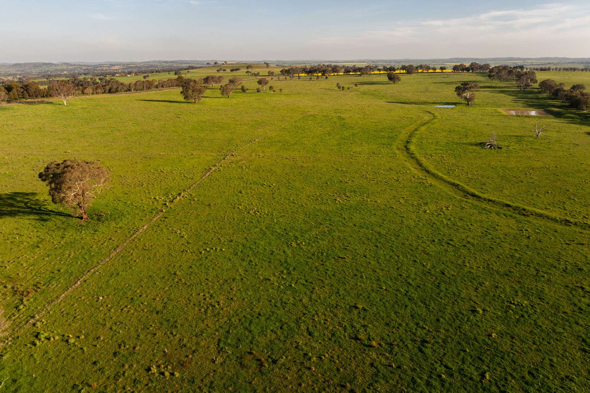 713 Lachlan Valley Way, Boorowa For Sale by Farmbuy.com - image 31
