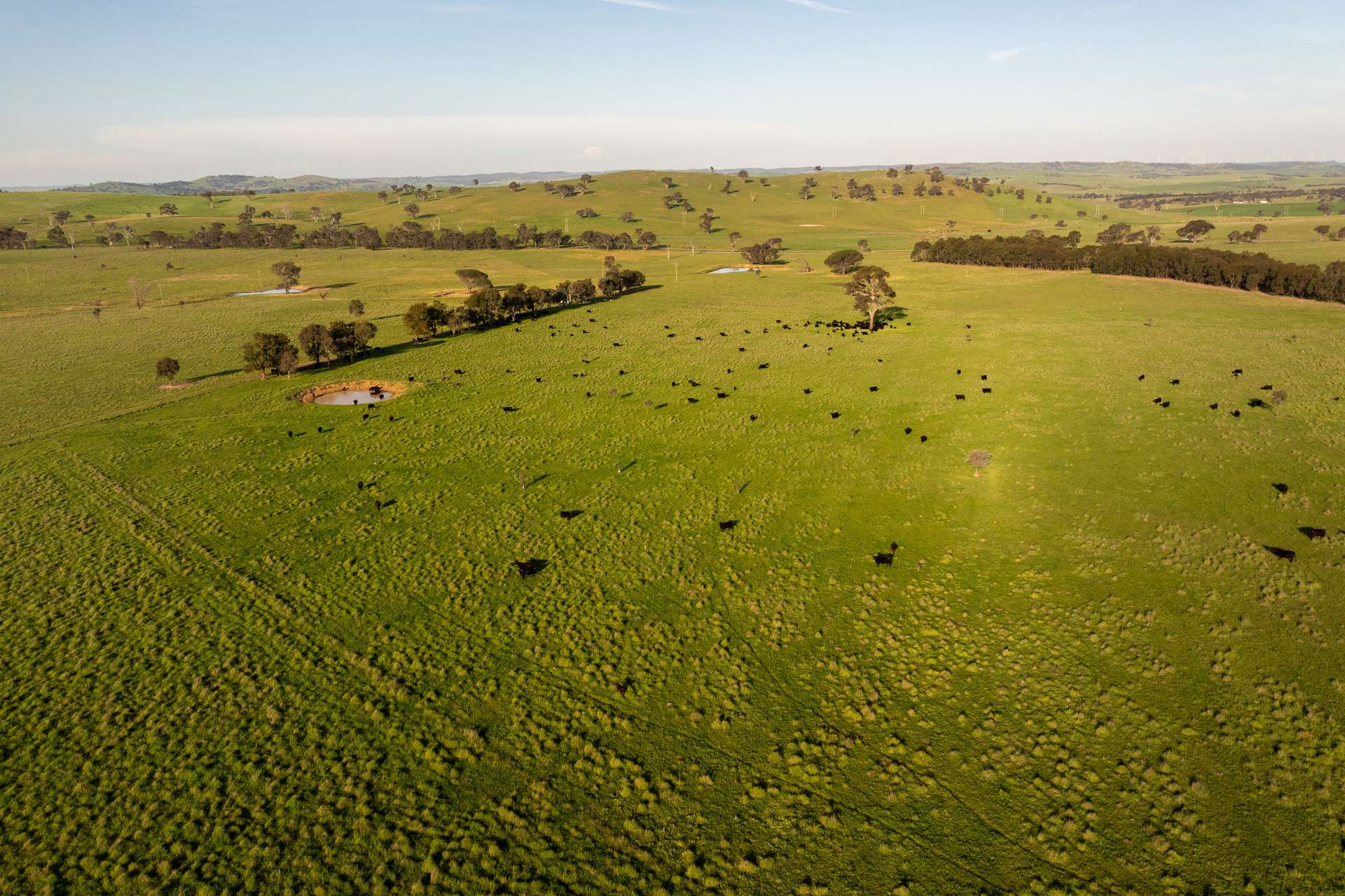 713 Lachlan Valley Way, Boorowa For Sale by Farmbuy.com - image 28