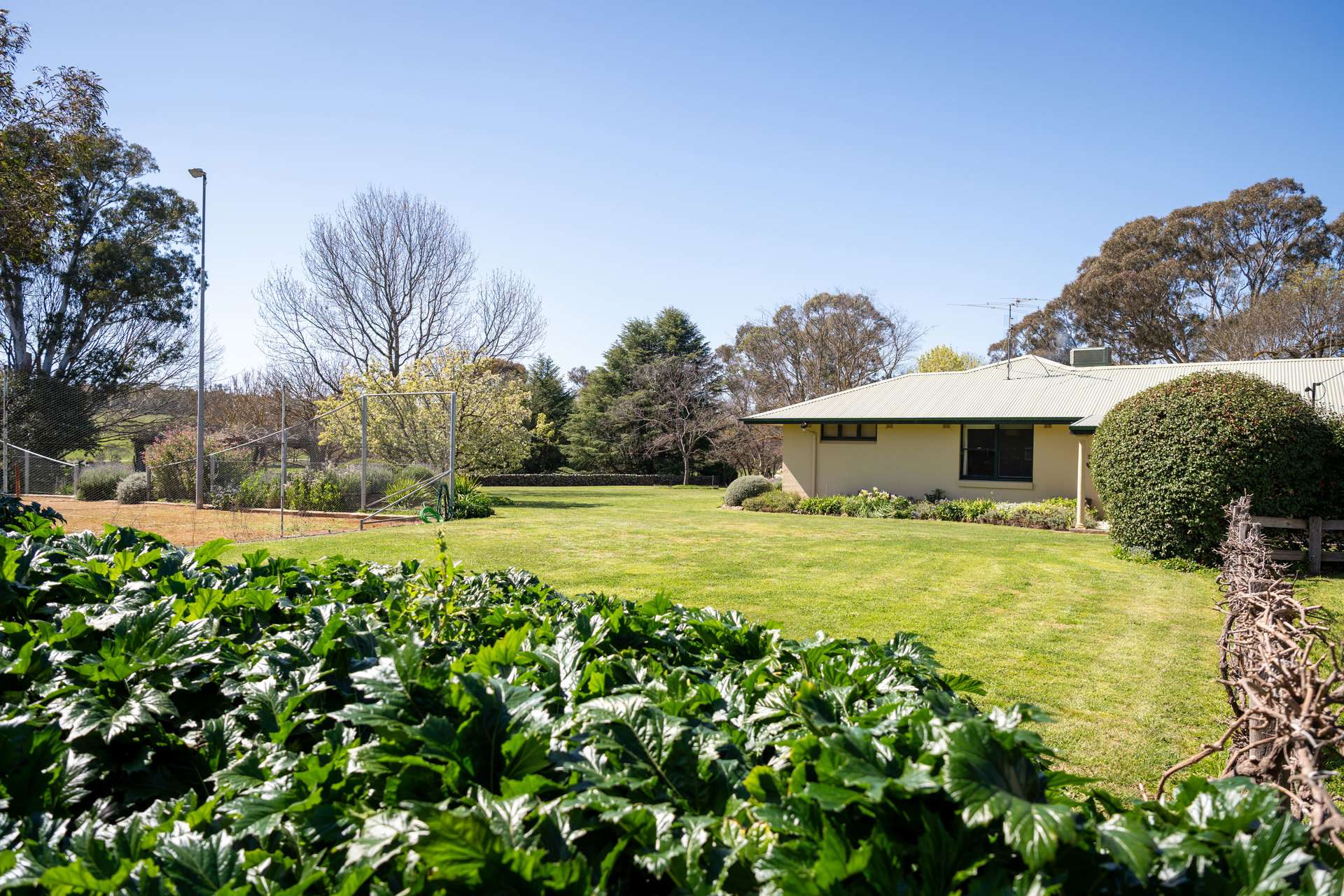 713 Lachlan Valley Way, Boorowa For Sale by Farmbuy.com - image 35
