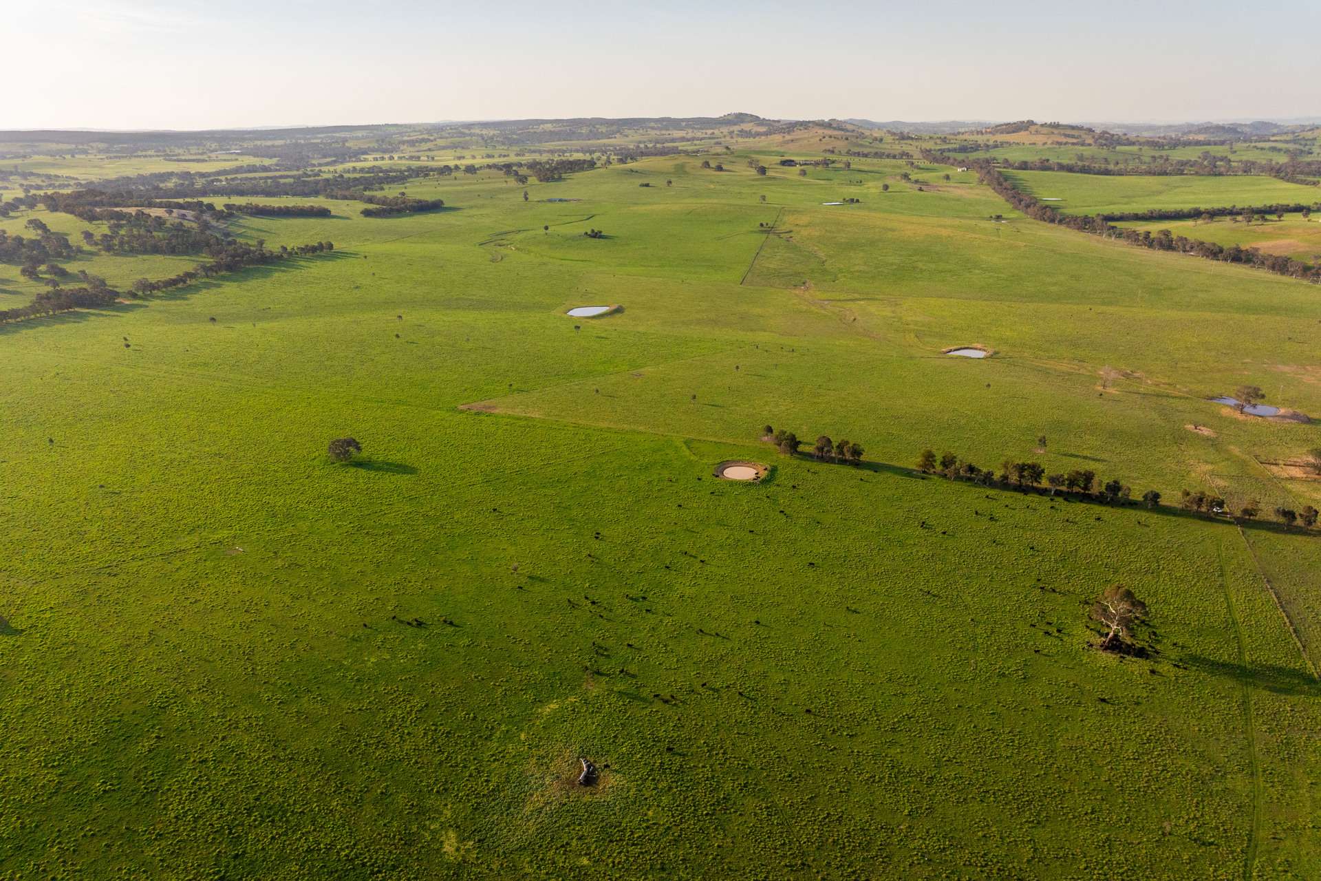 713 Lachlan Valley Way, Boorowa For Sale by Farmbuy.com - image 29