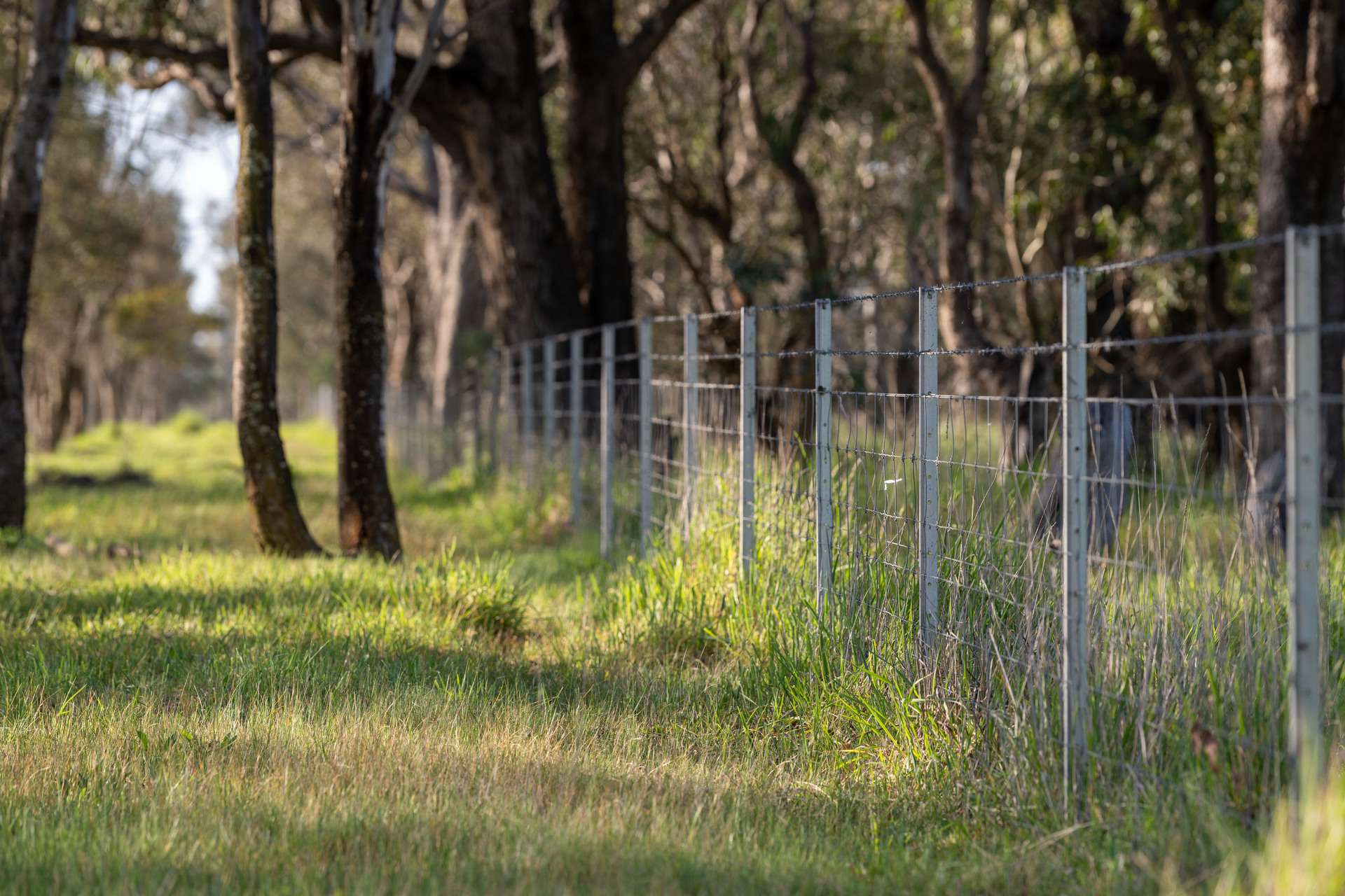 713 Lachlan Valley Way, Boorowa For Sale by Farmbuy.com - image 32
