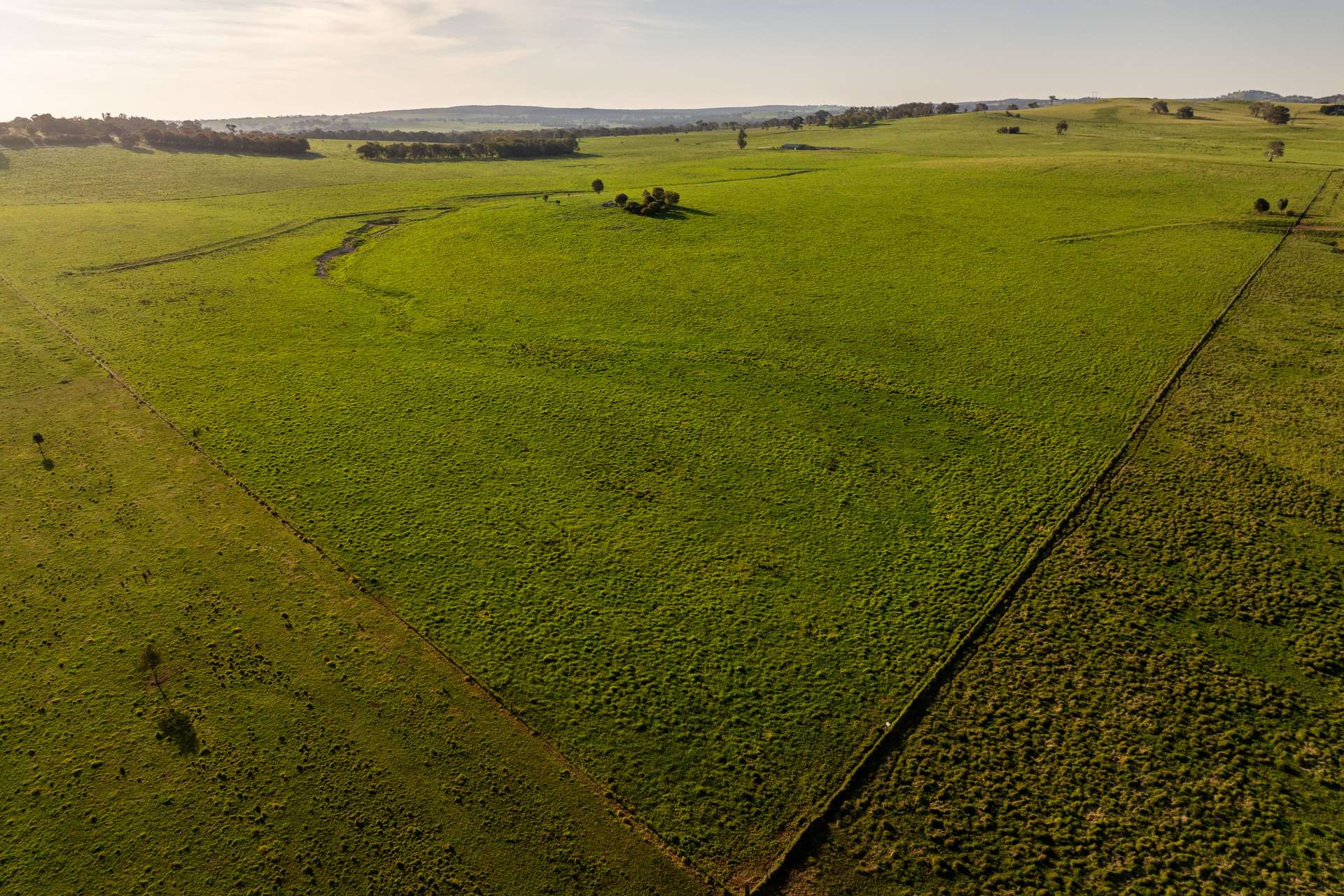 713 Lachlan Valley Way, Boorowa For Sale by Farmbuy.com - image 5
