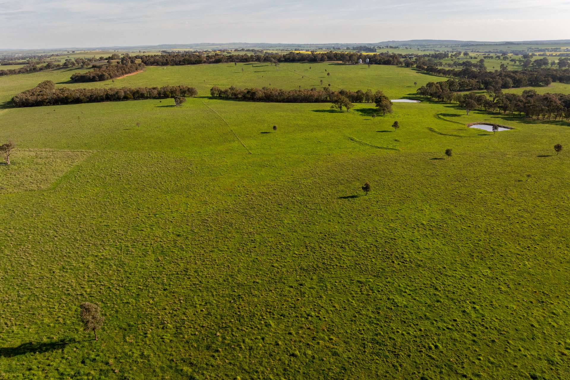713 Lachlan Valley Way, Boorowa For Sale by Farmbuy.com - image 3