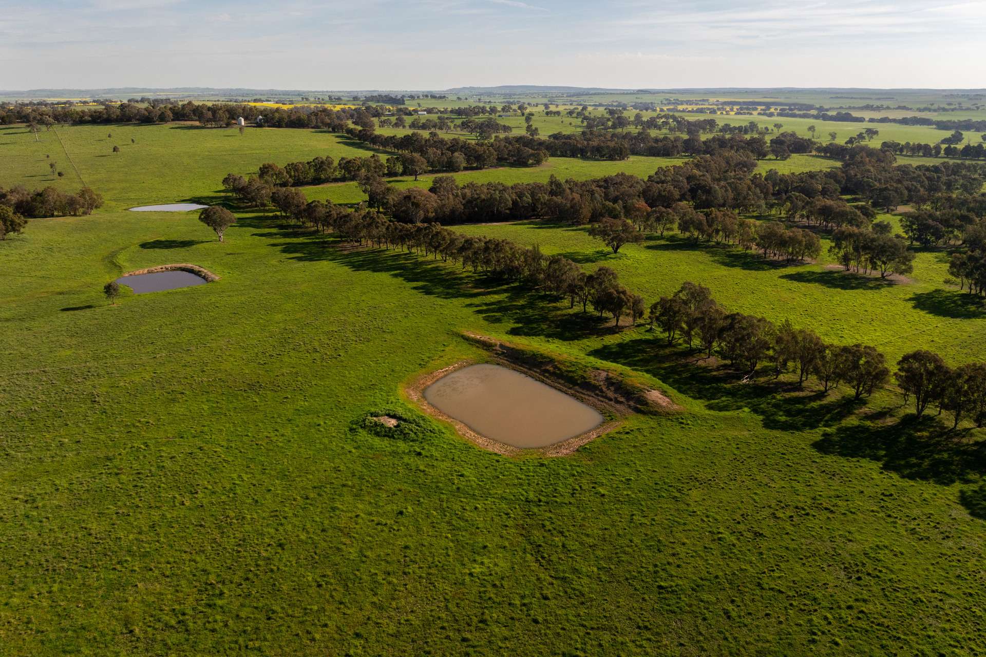 713 Lachlan Valley Way, Boorowa For Sale by Farmbuy.com - image 2