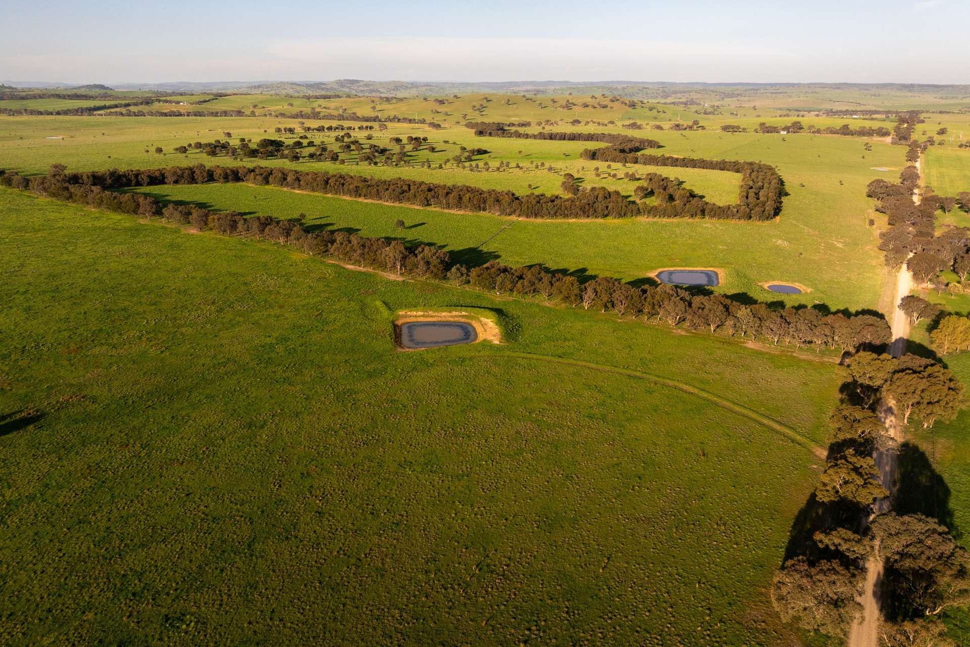713 Lachlan Valley Way, Boorowa For Sale by Farmbuy.com - image 4