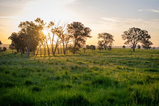 713 Lachlan Valley Way, Boorowa NSW 2586