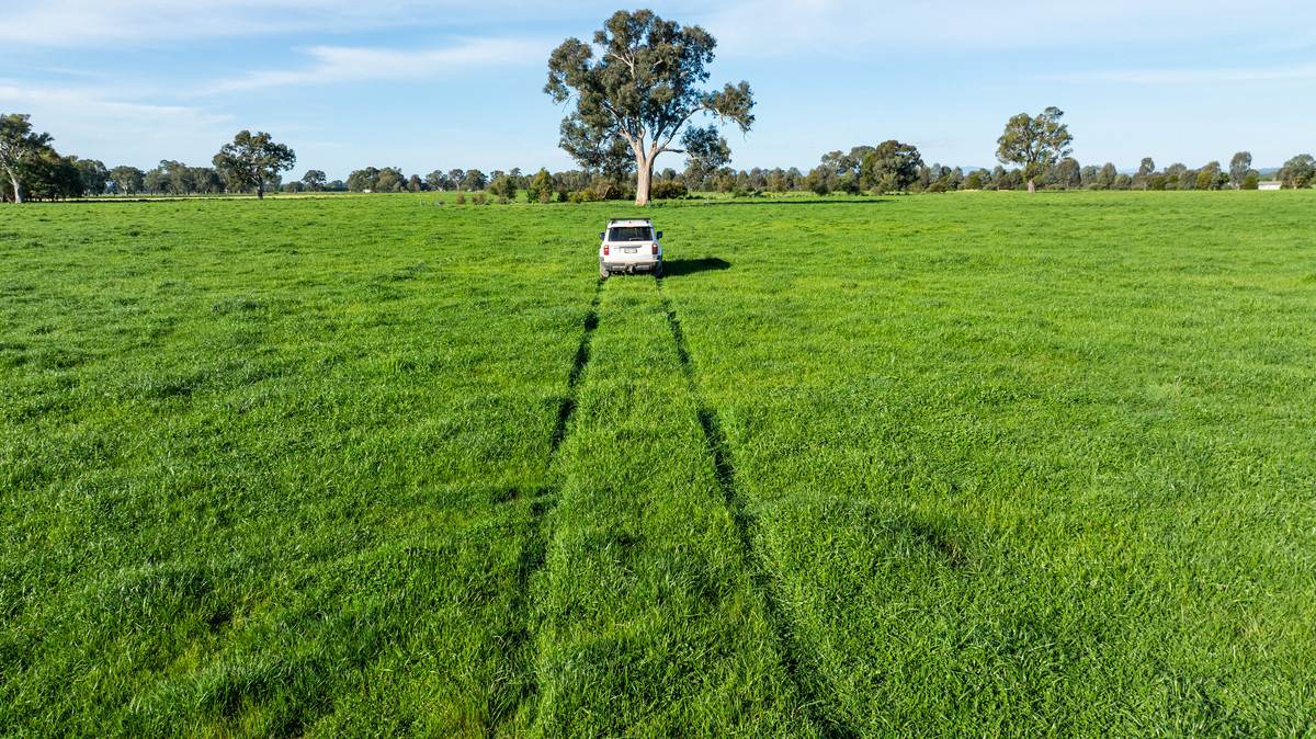 162 Hoults Lane, Moyhu For Sale by Farmbuy.com - image 29