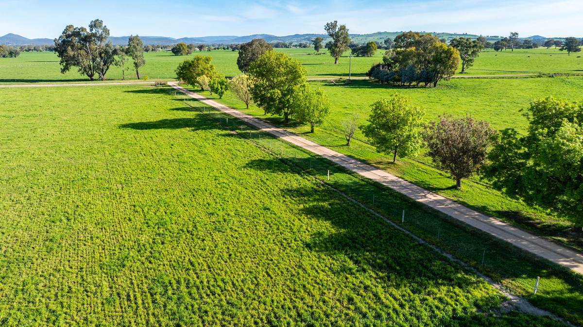 162 Hoults Lane, Moyhu For Sale by Farmbuy.com - image 5