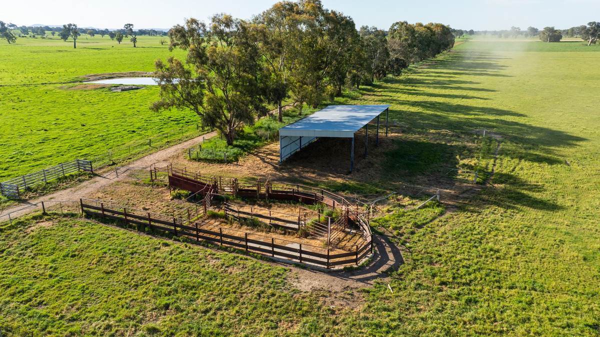 162 Hoults Lane, Moyhu For Sale by Farmbuy.com - image 24