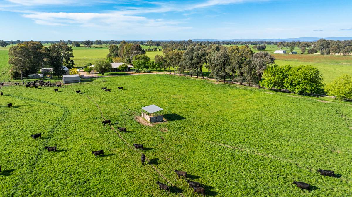 162 Hoults Lane, Moyhu For Sale by Farmbuy.com - image 6
