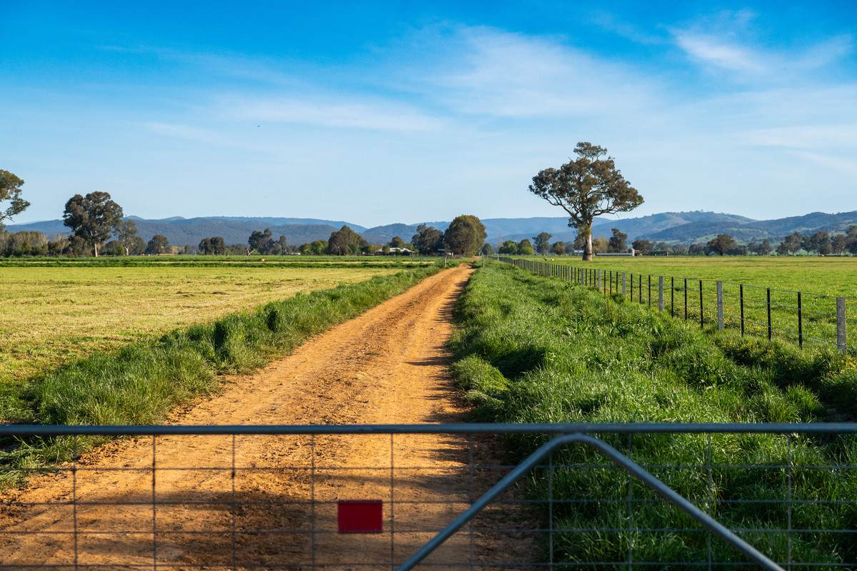 162 Hoults Lane, Moyhu For Sale by Farmbuy.com - image 32