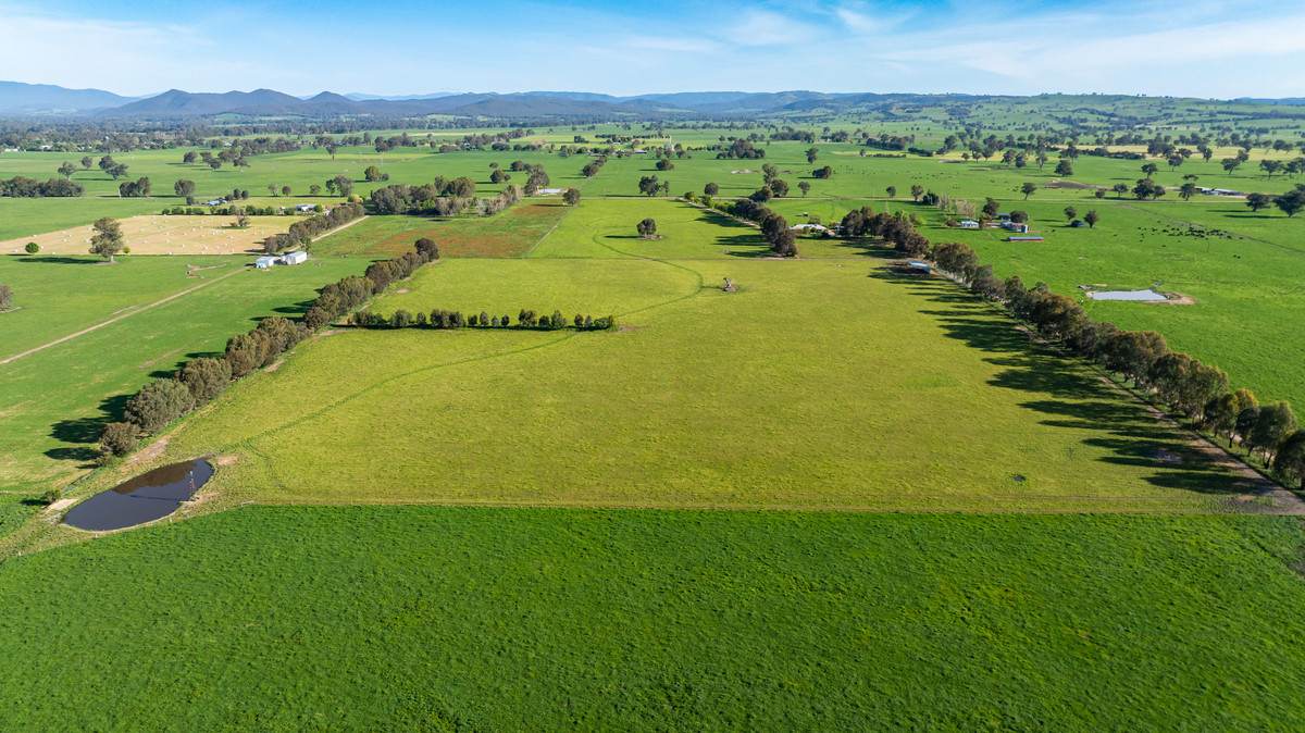 162 Hoults Lane, Moyhu For Sale by Farmbuy.com - image 30