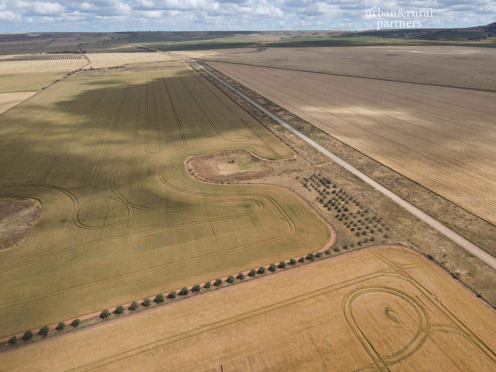 Lot 510 Beaufort Road, South Hummocks For Sale by Farmbuy.com - image 5