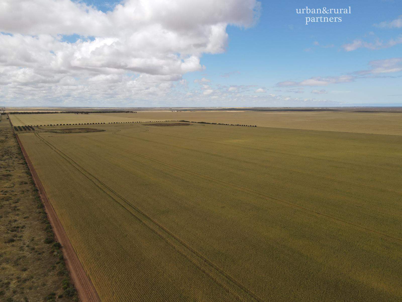Lot 510 Beaufort Road, South Hummocks For Sale by Farmbuy.com - image 9