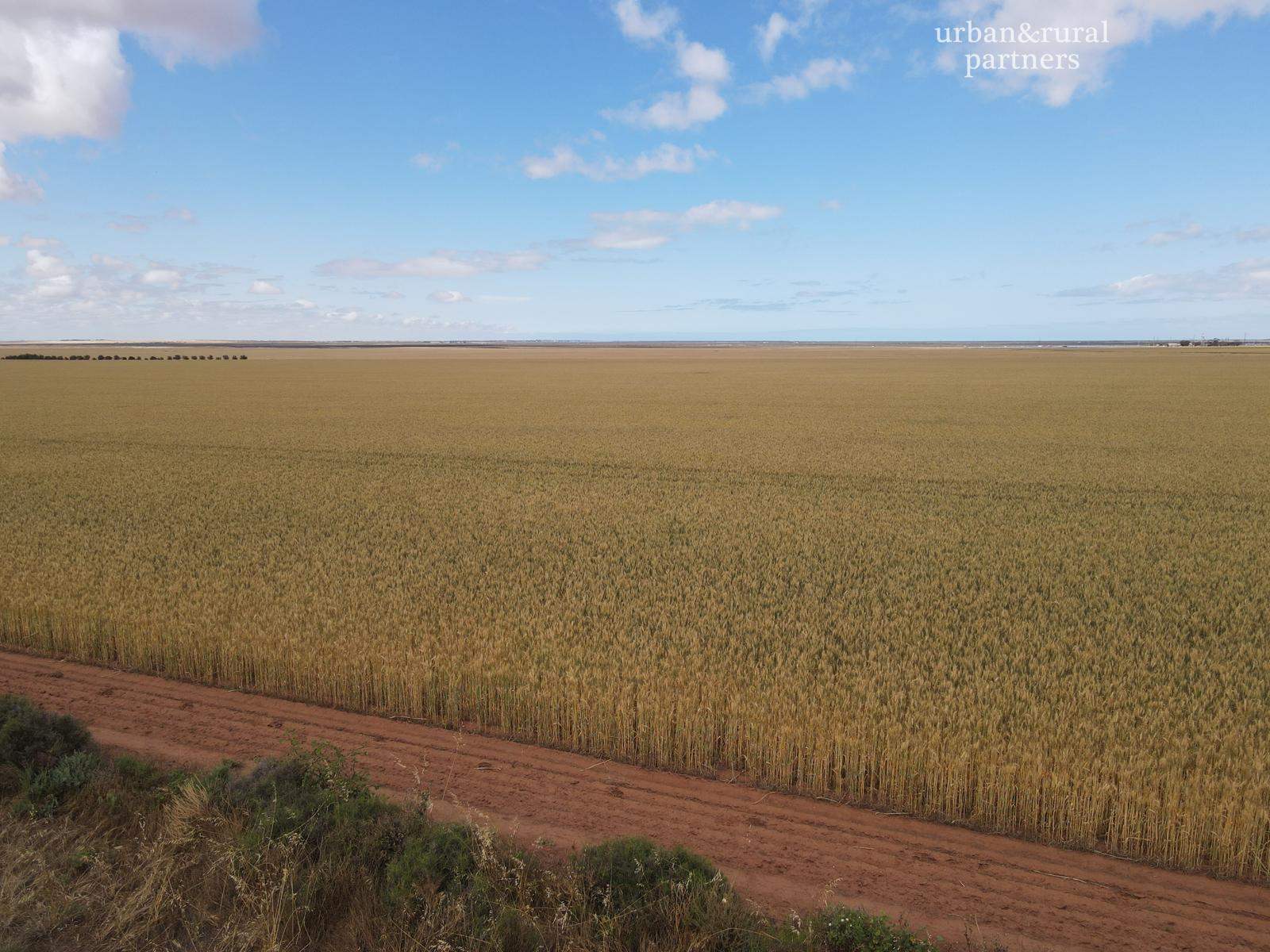 Lot 510 Beaufort Road, South Hummocks For Sale by Farmbuy.com - image 10