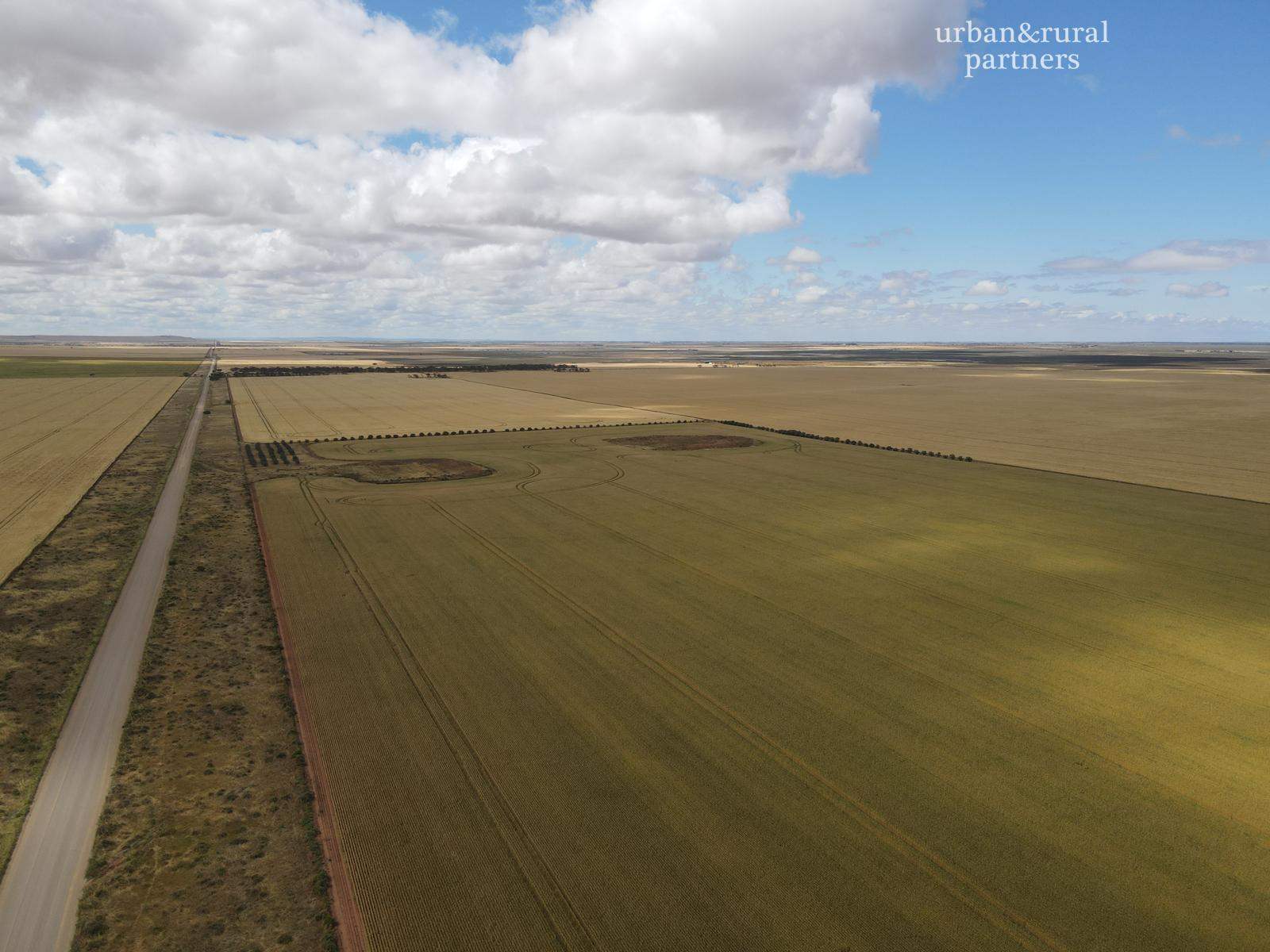 Lot 510 Beaufort Road, South Hummocks For Sale by Farmbuy.com - image 4