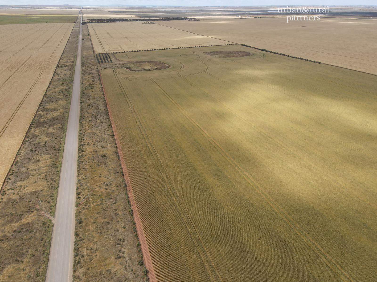 Lot 510 Beaufort Road, South Hummocks For Sale by Farmbuy.com - image 7