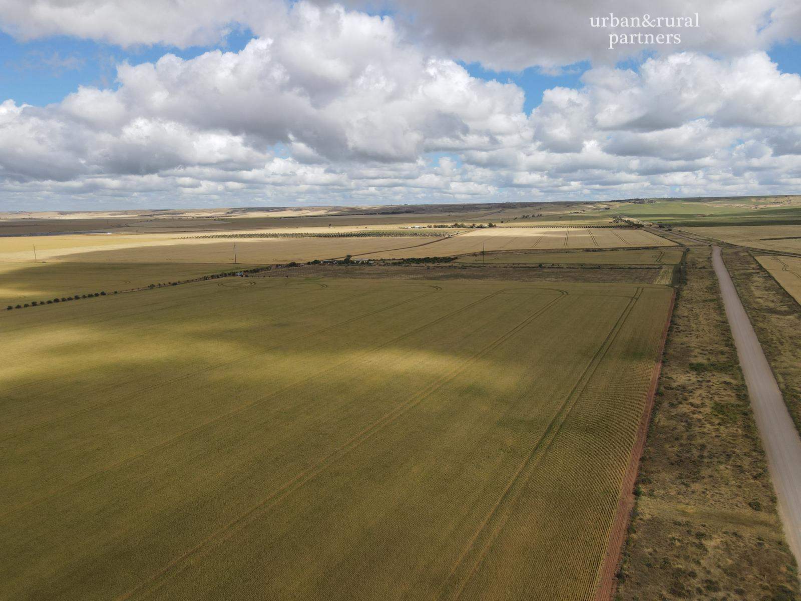Lot 510 Beaufort Road, South Hummocks For Sale by Farmbuy.com - image 8