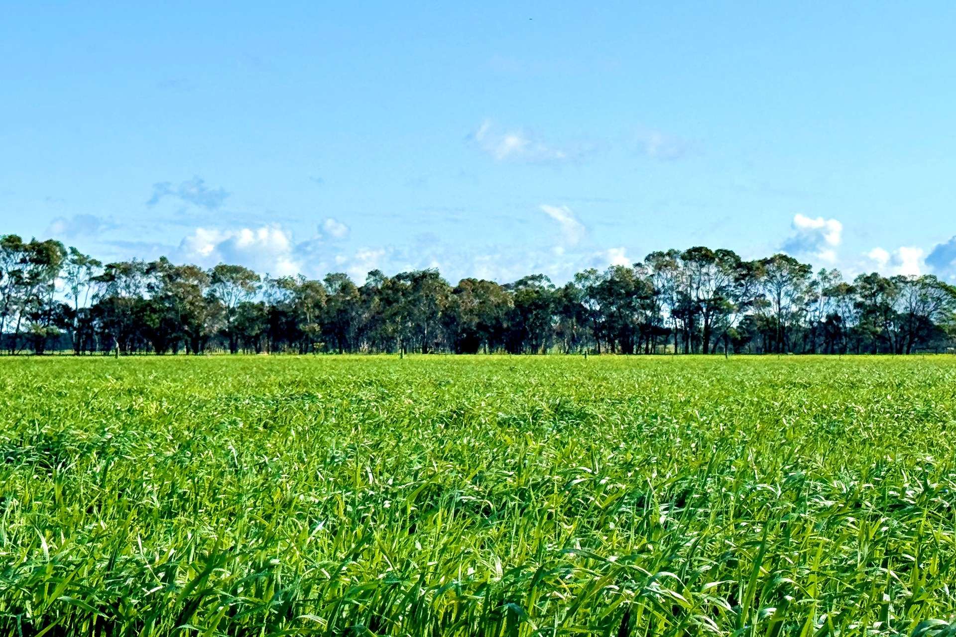 416 Mortlake-Ararat Road, Mortlake For Sale by Farmbuy.com - image 26